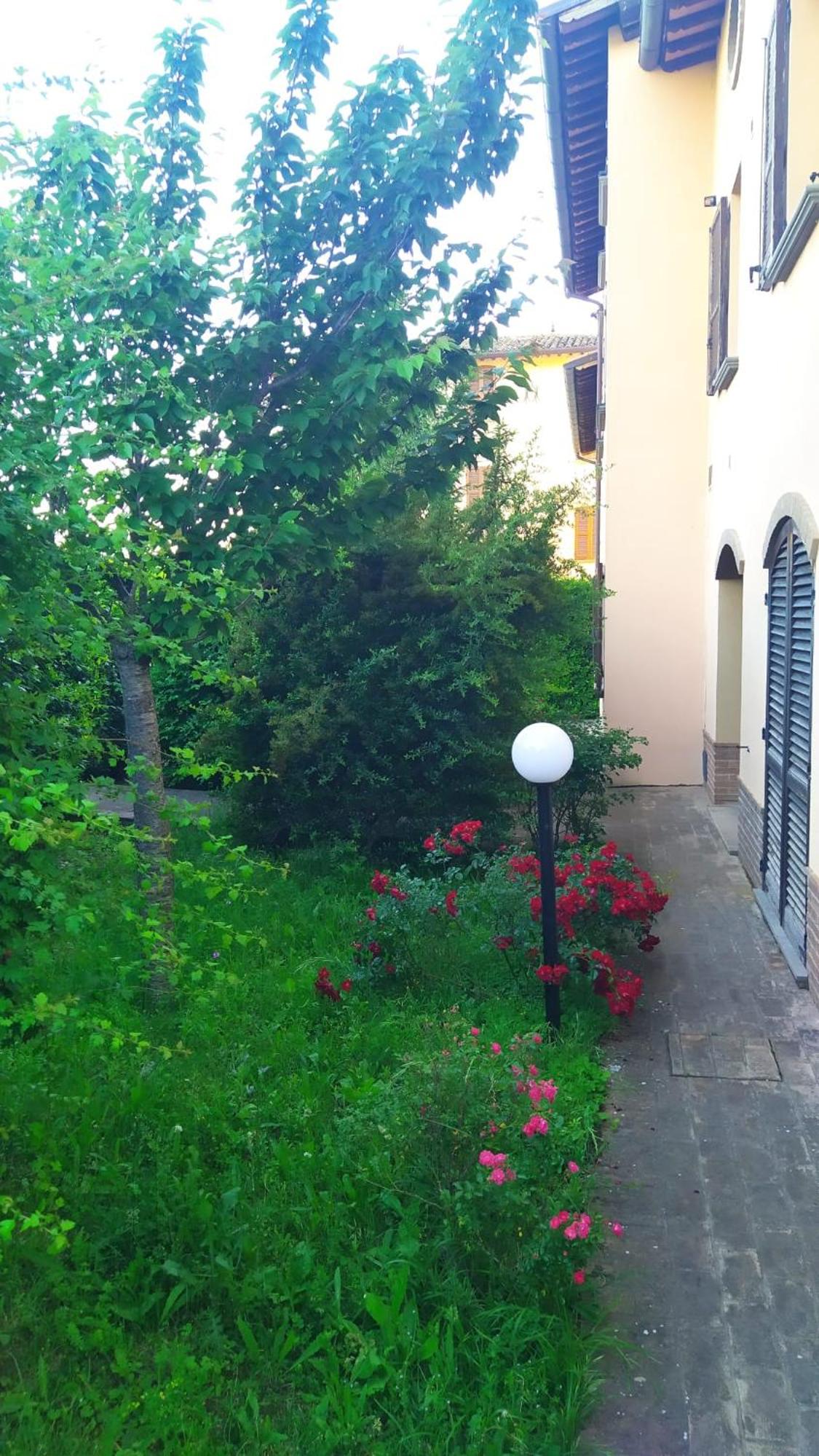 il passero
