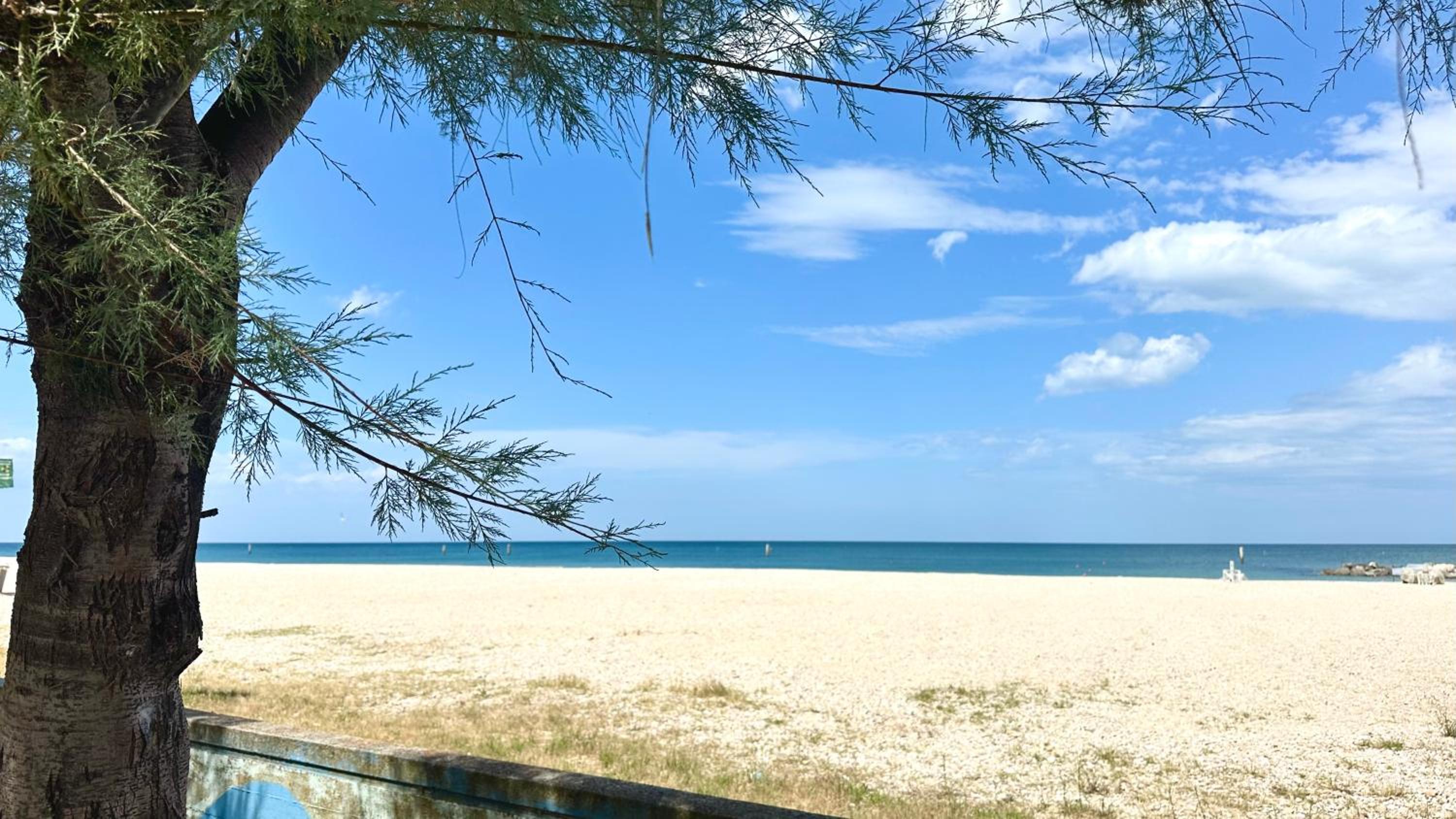 SE106 - Senigallia, nuovo bilocale fronte mare view 4