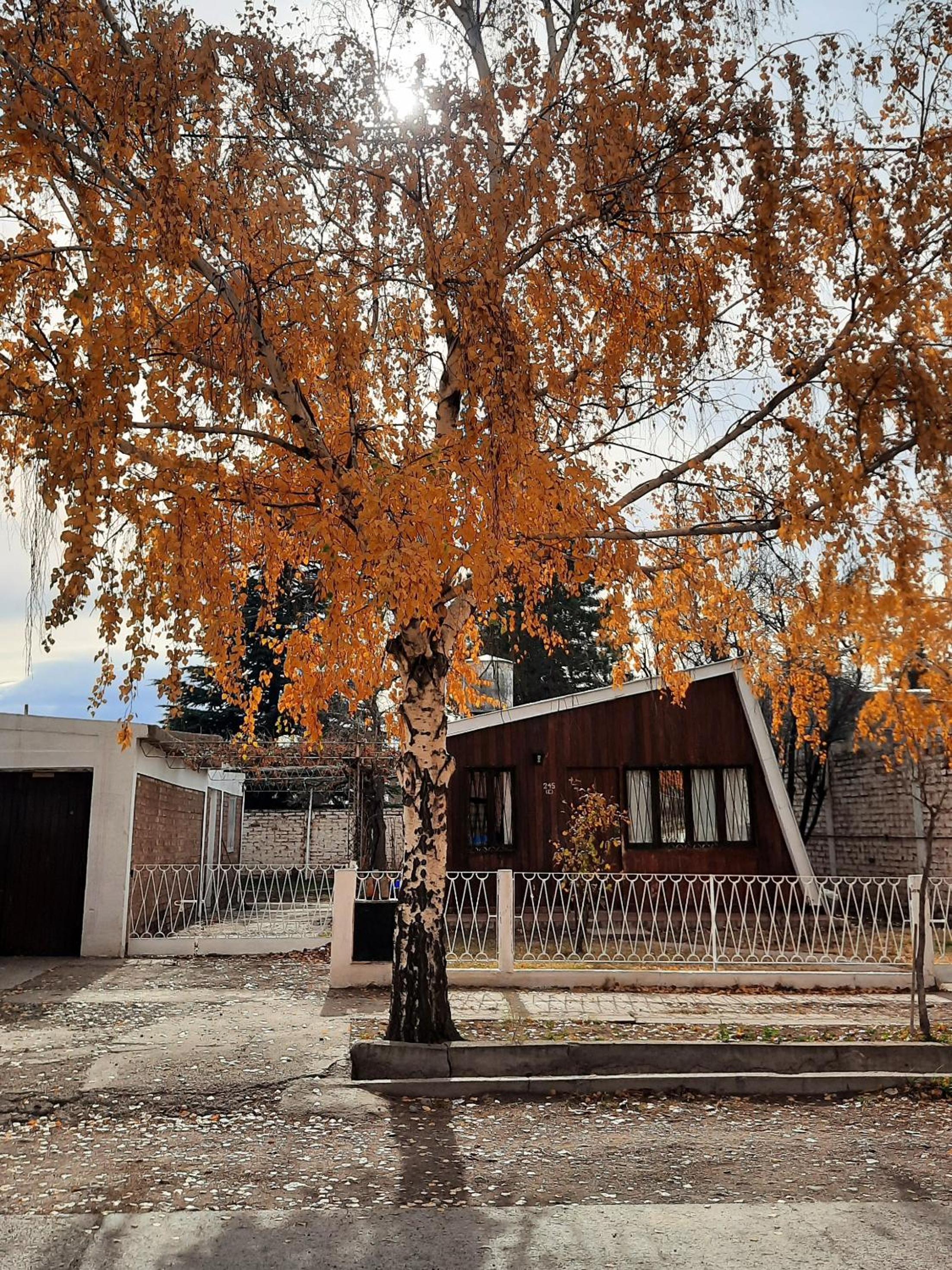 Cumbre House