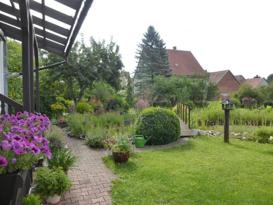 gemütliche große Wohnung in ruhiger Lage