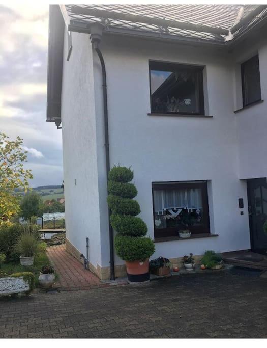 gemütliche große Wohnung in ruhiger Lage