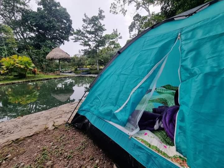 Camping Perlawasi-Tioyacu view 2