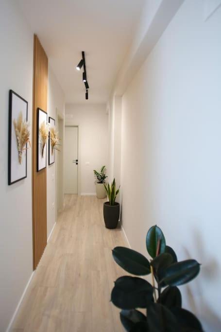 Taushani Apartment, Vlore