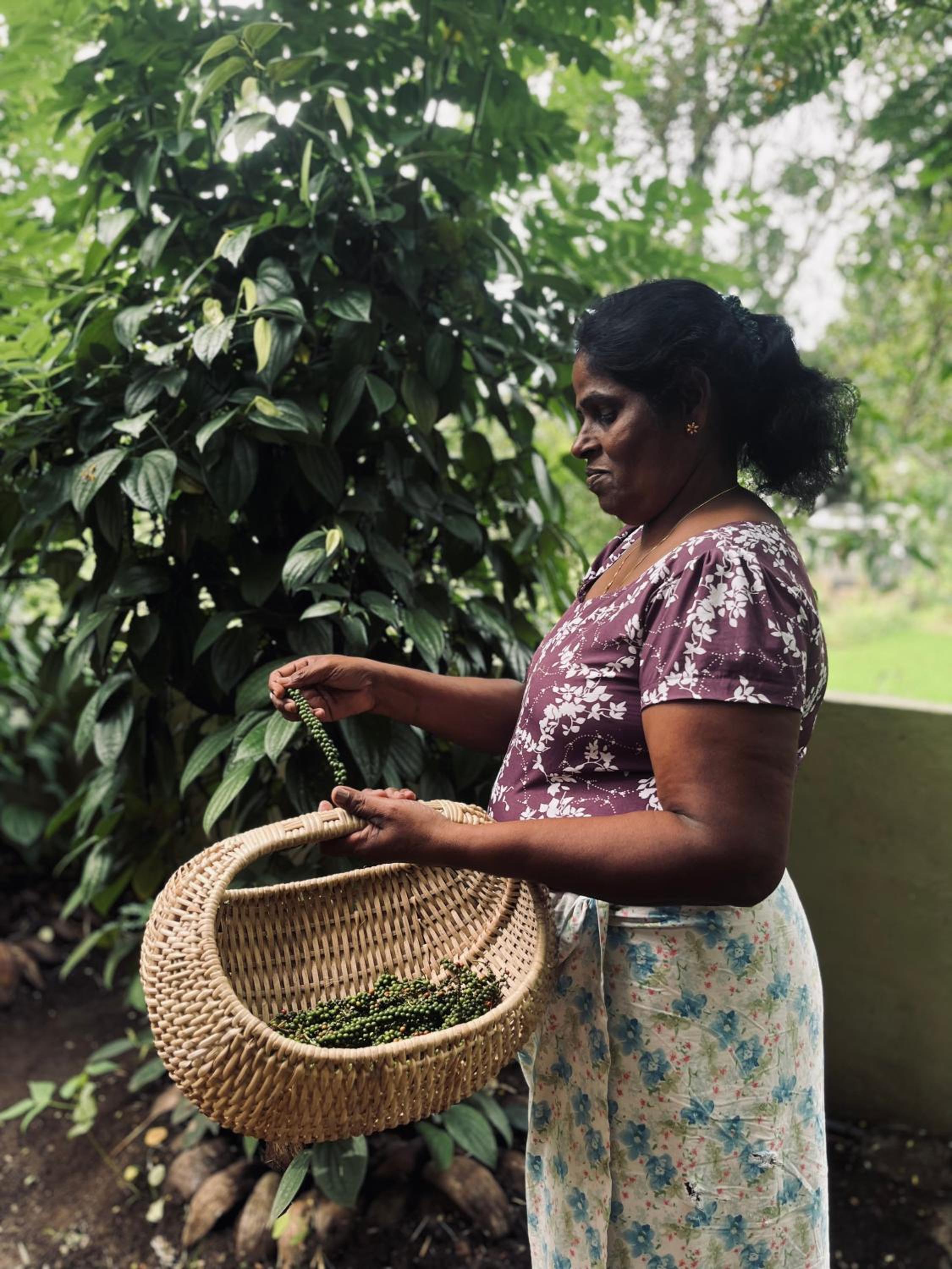 Kandy Living Homestay