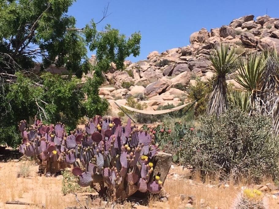 Rancho Rockotillo - Breakfast in the Boulders! view 3