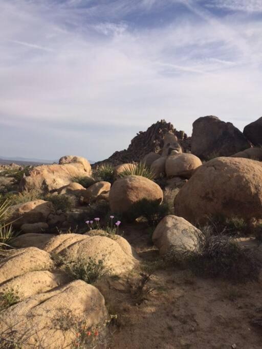 Rancho Rockotillo - Breakfast in the Boulders! view 5