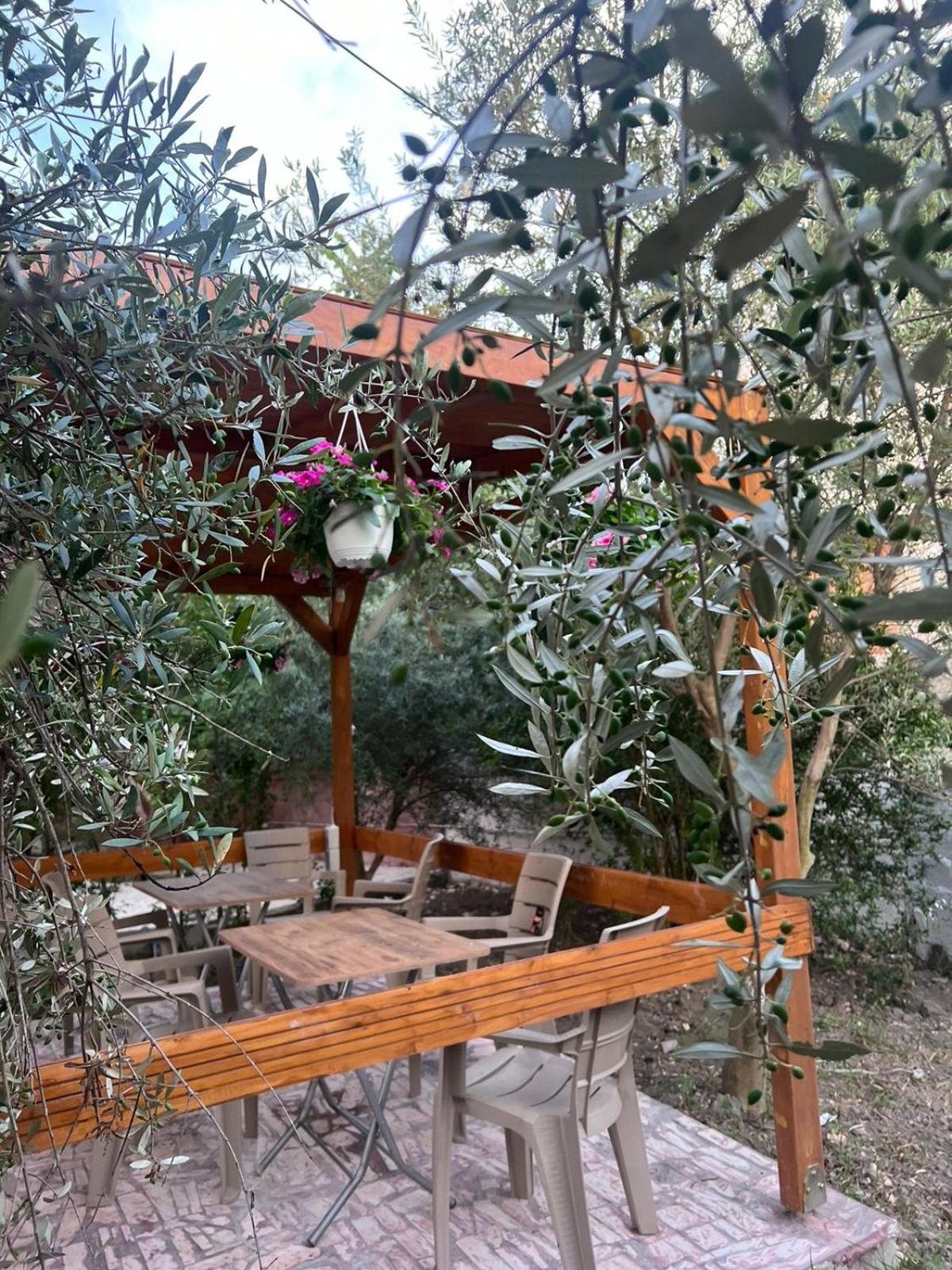 Vila Magis