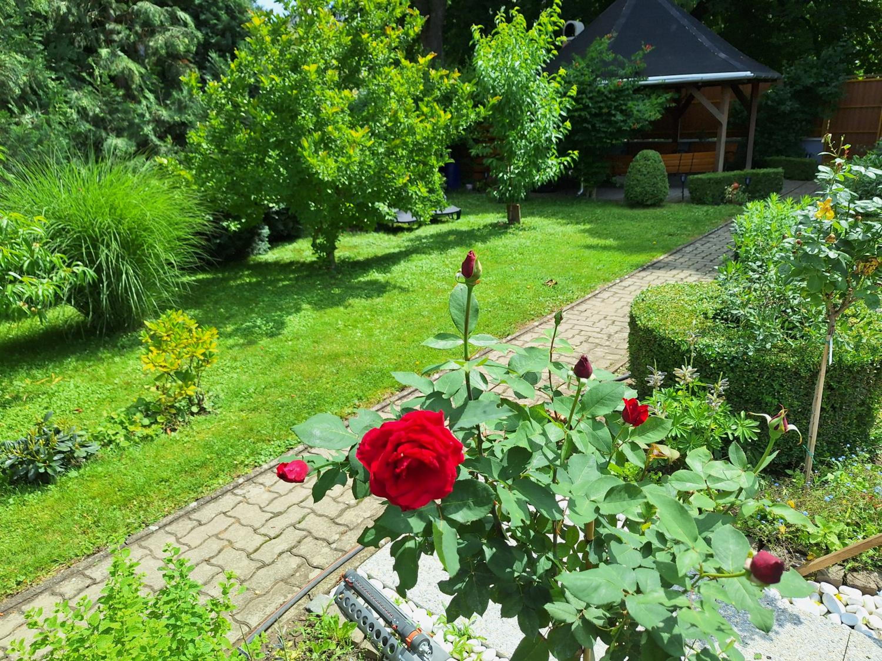 Iskolakert Apartman