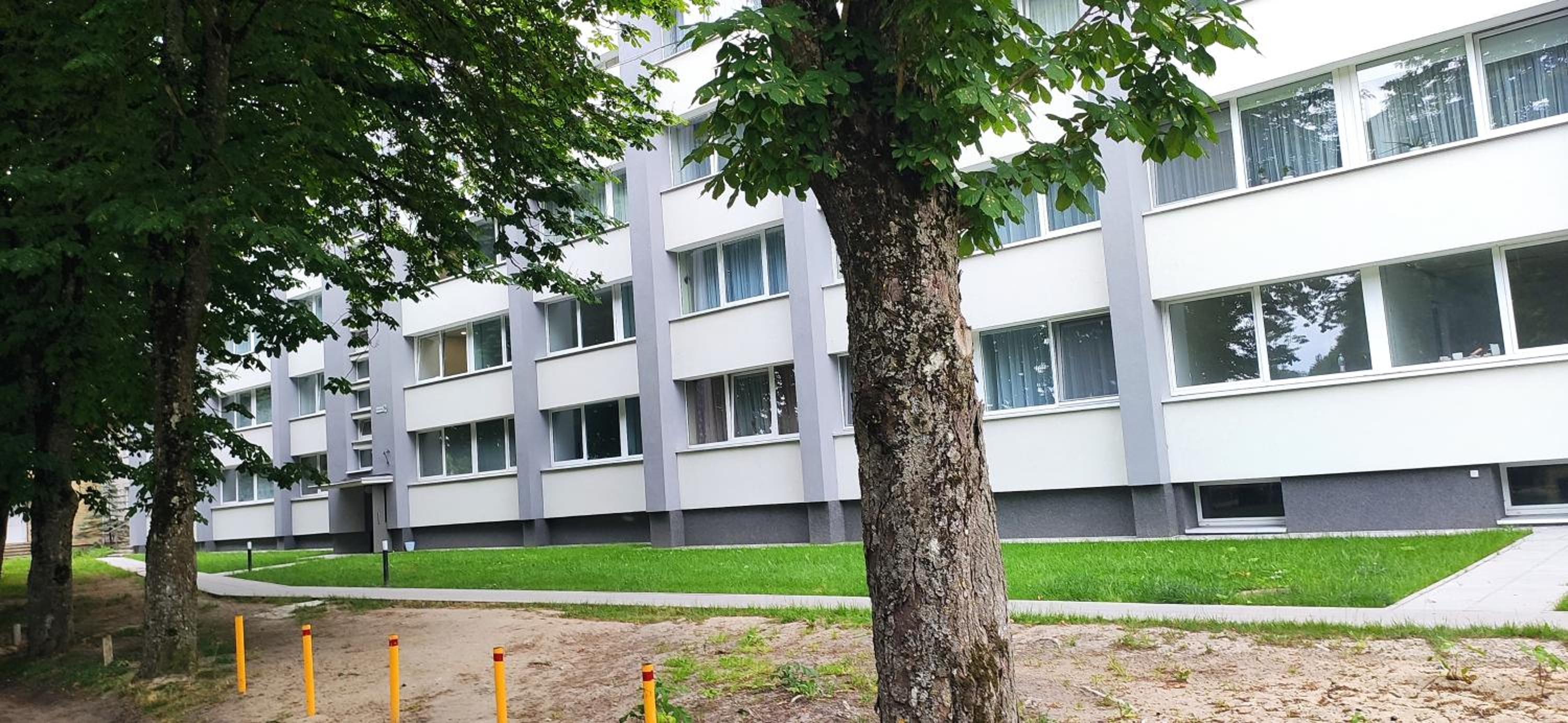 Kaštonų pavėsis