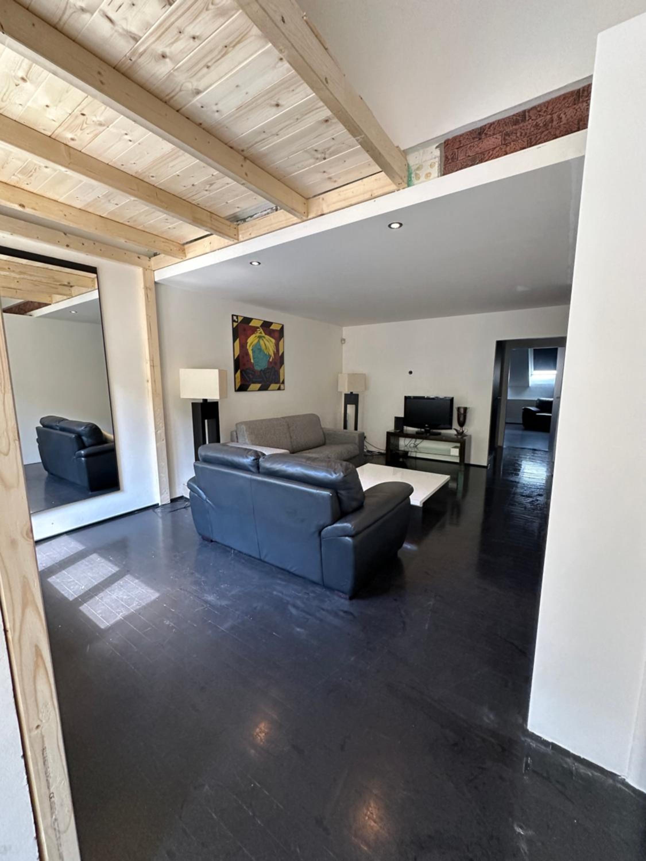 Spacious Karlin Lofty Apartment