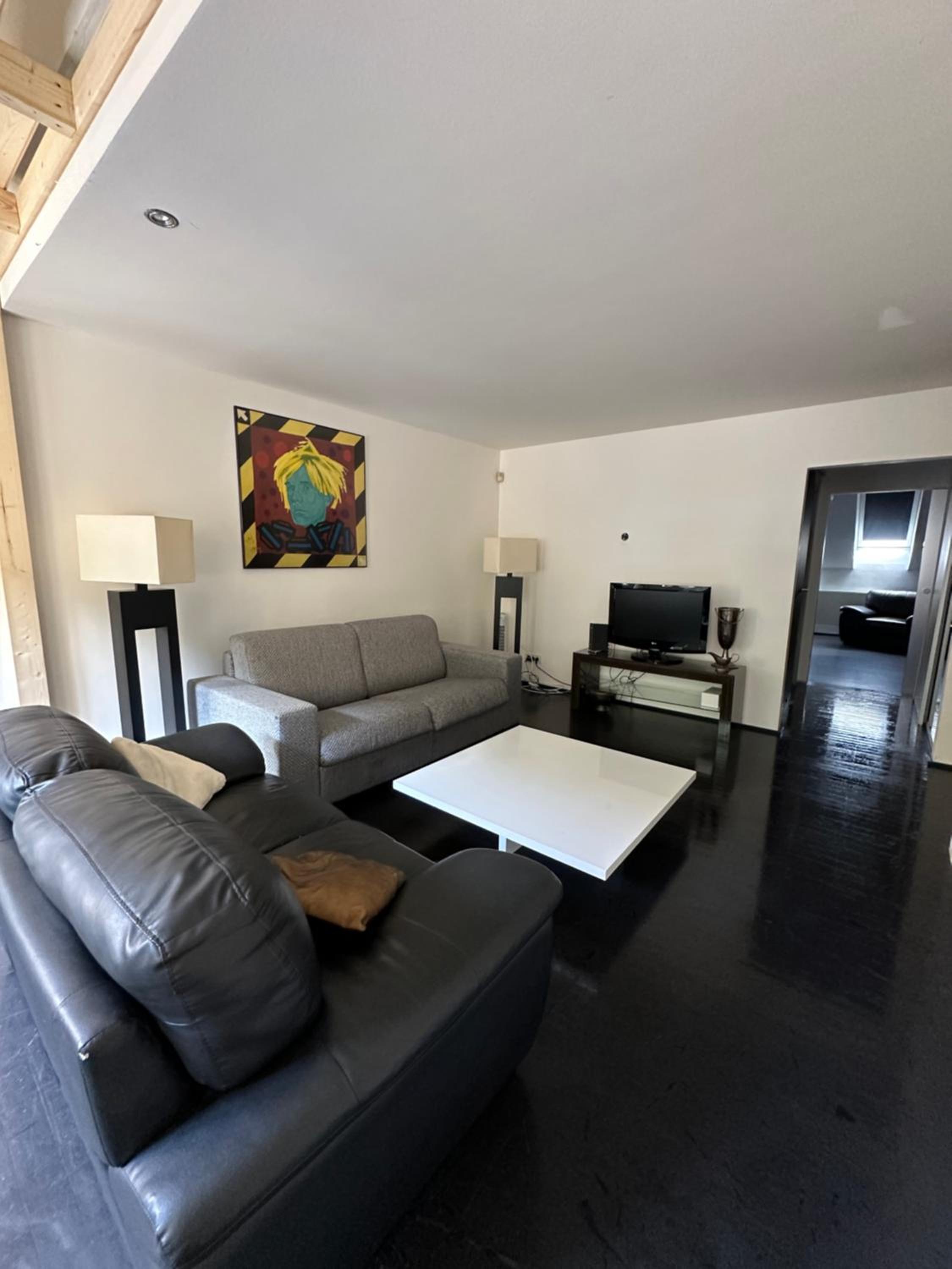 Spacious Karlin Lofty Apartment