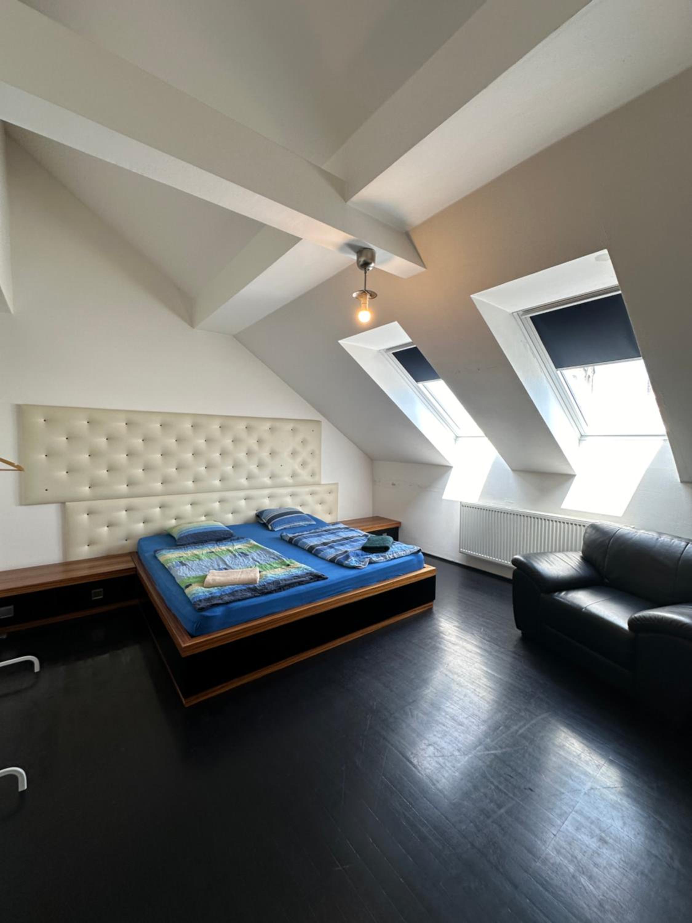 Spacious Karlin Lofty Apartment