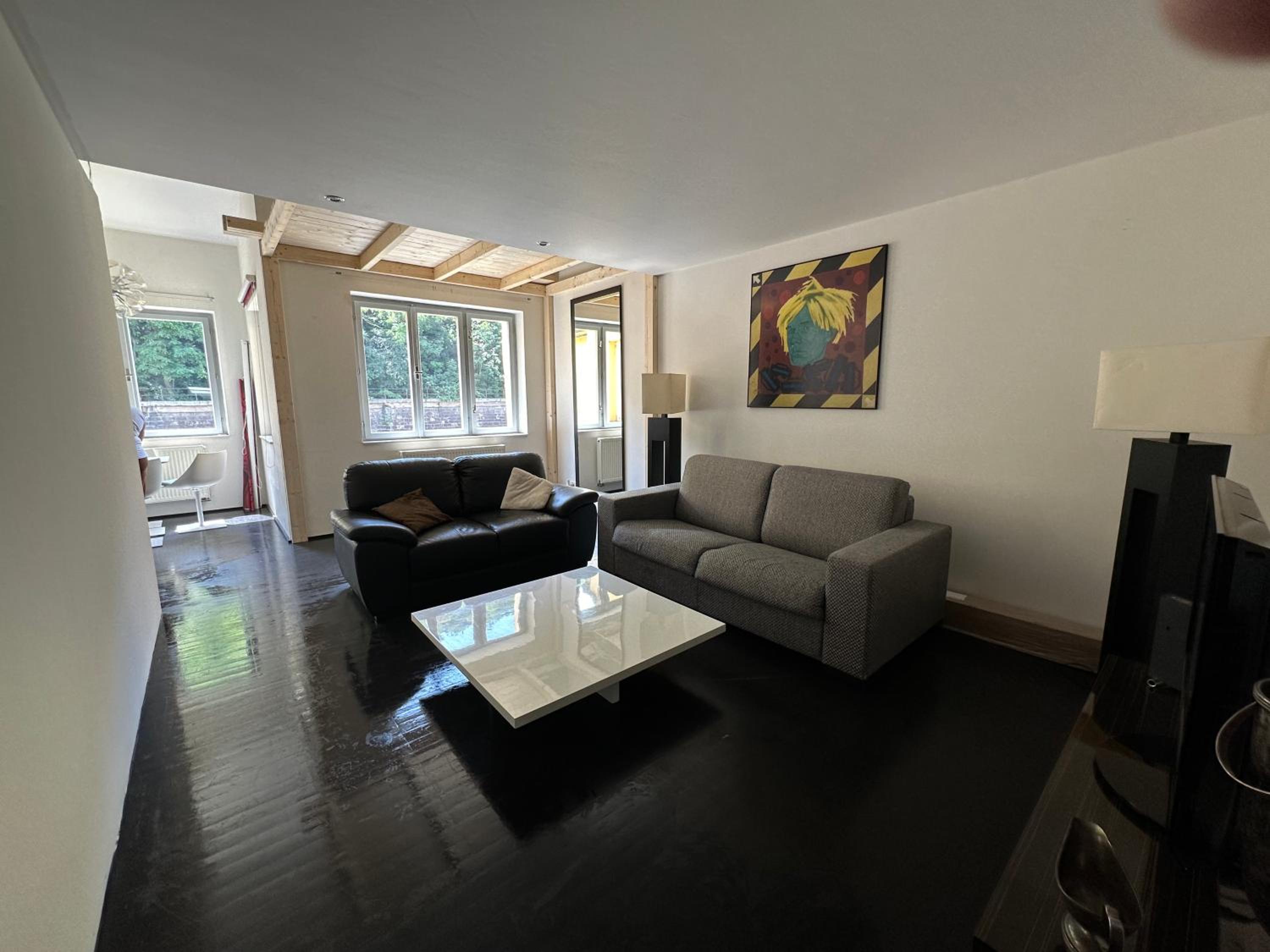 Spacious Karlin Lofty Apartment