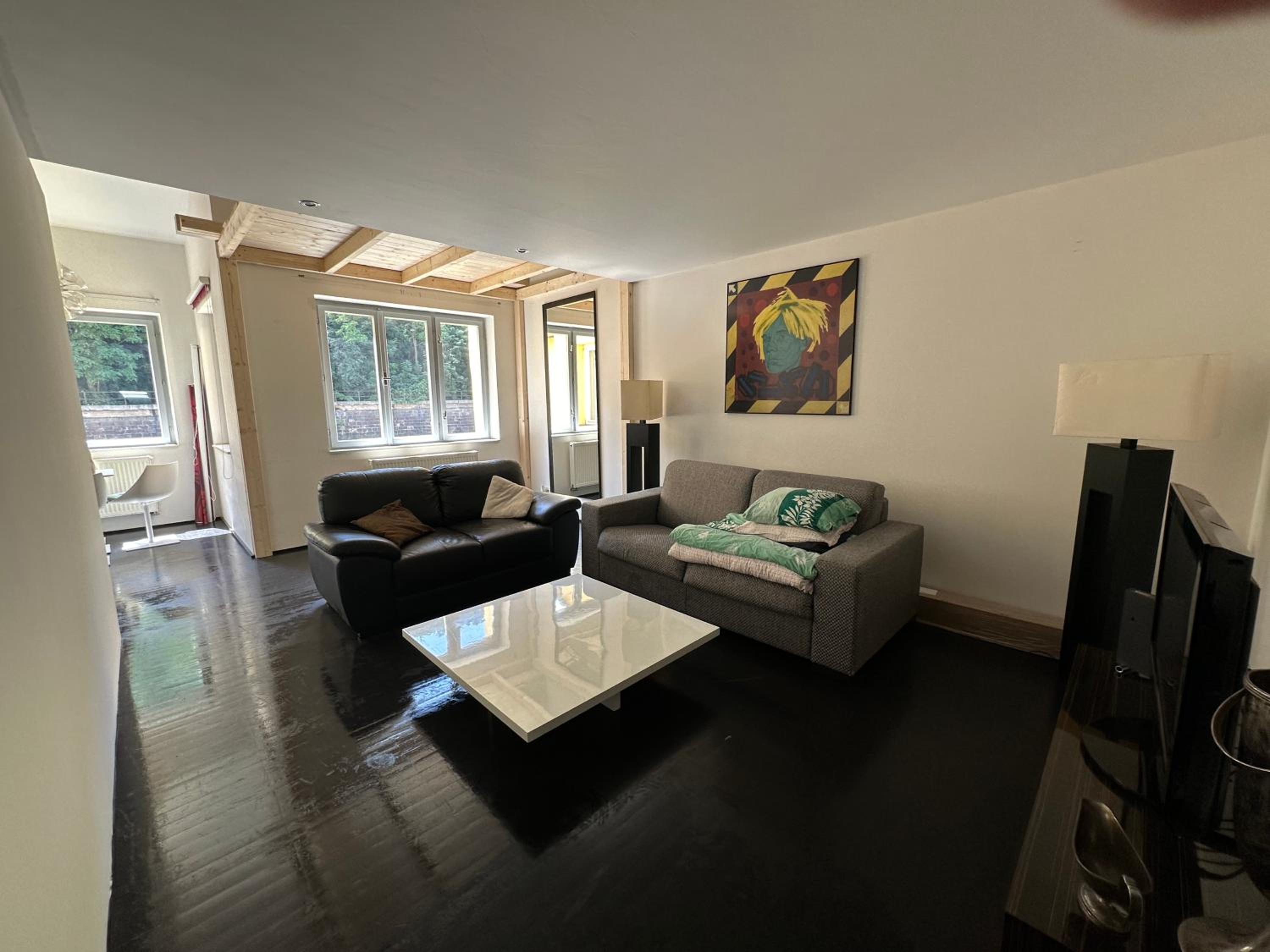 Spacious Karlin Lofty Apartment
