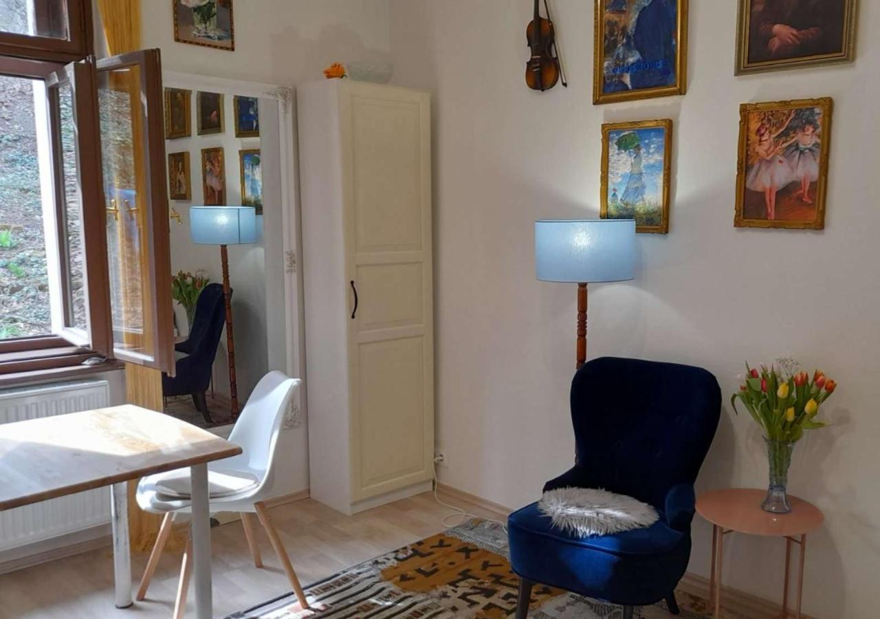 AUTHENTIC Vyšehrad-2BR-Near CONGRES center-Riverside to the center