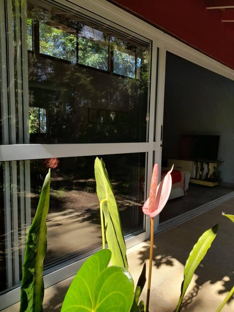 Casa Luna próximo ao Animália Park