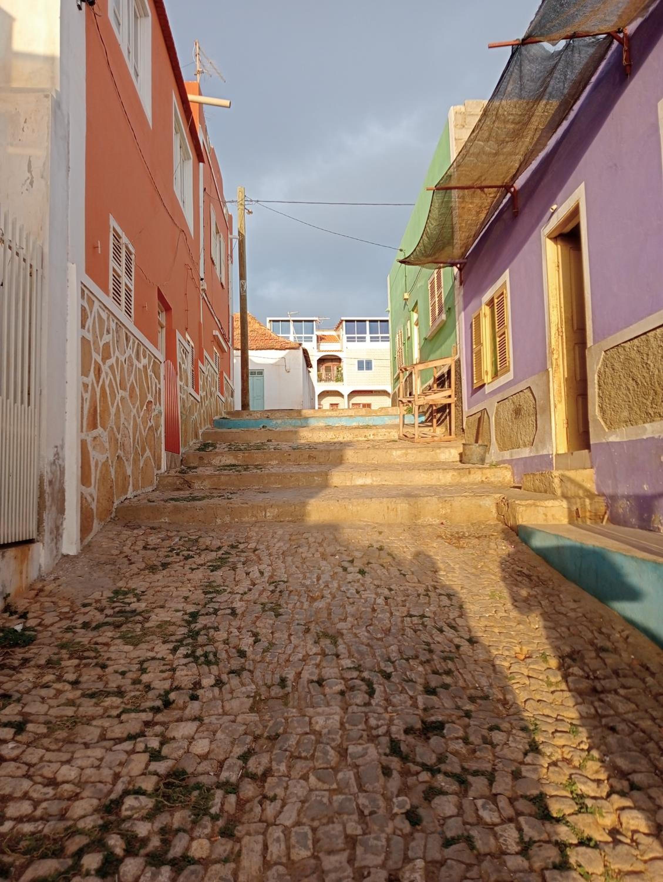 Farfalla