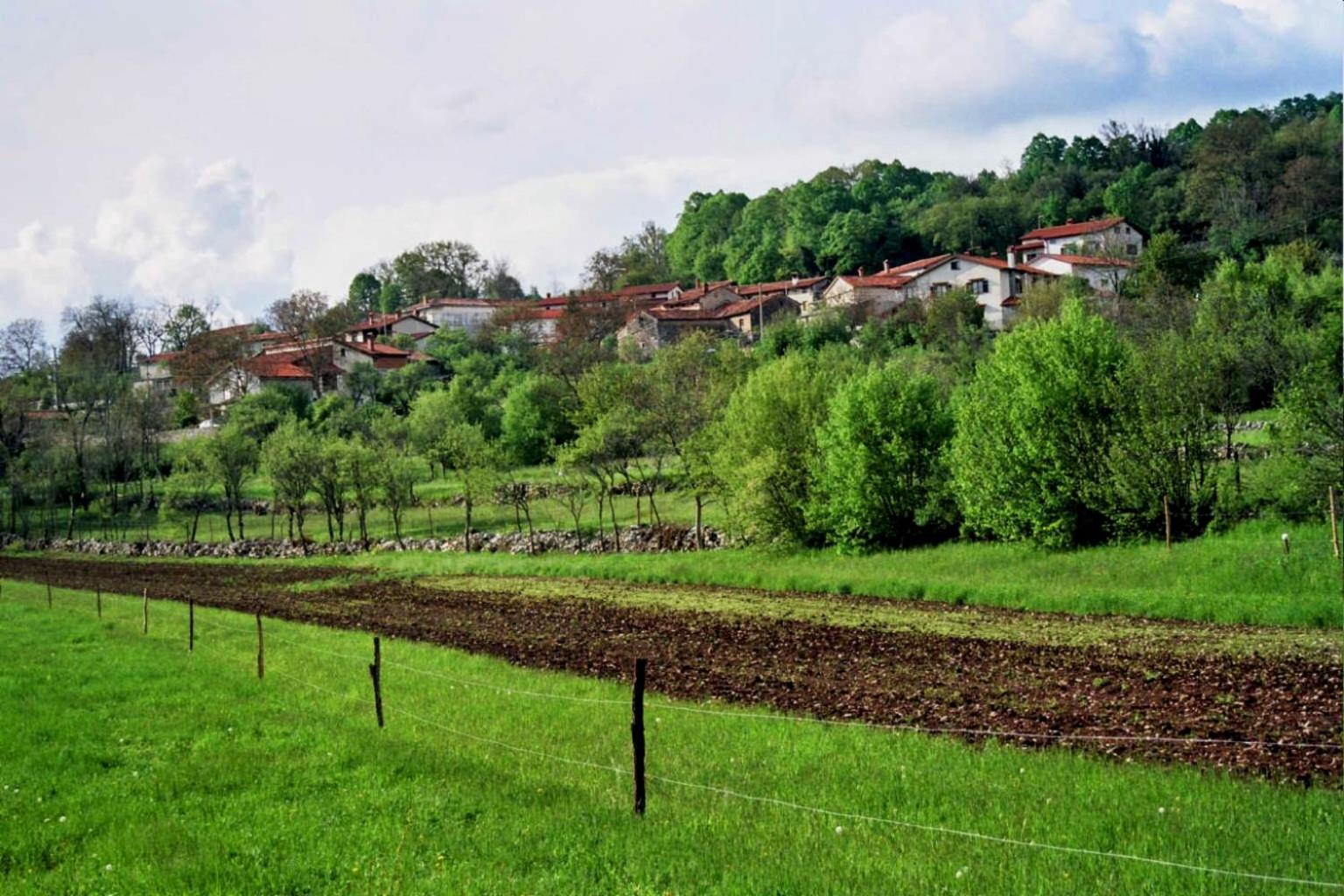 Apartma Ježevi