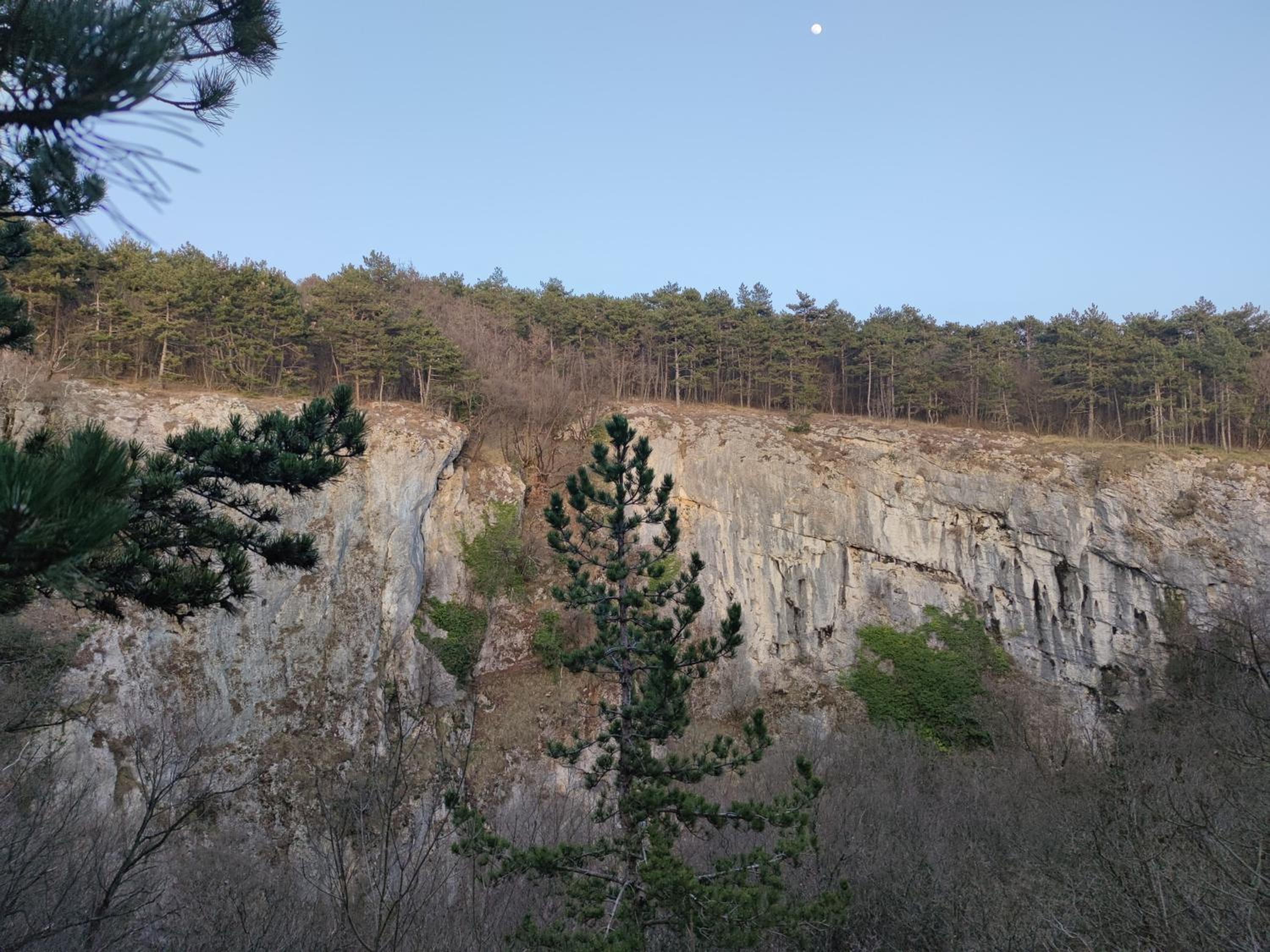 Apartma Ježevi