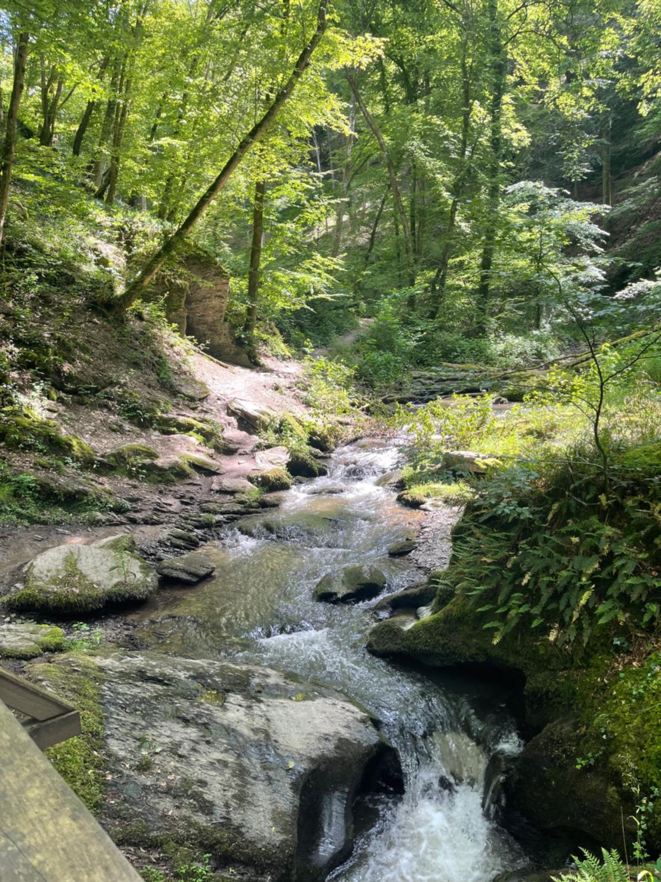 Am Apfelbaum, ein Ferienhaus zwischen Rhein und Mosel