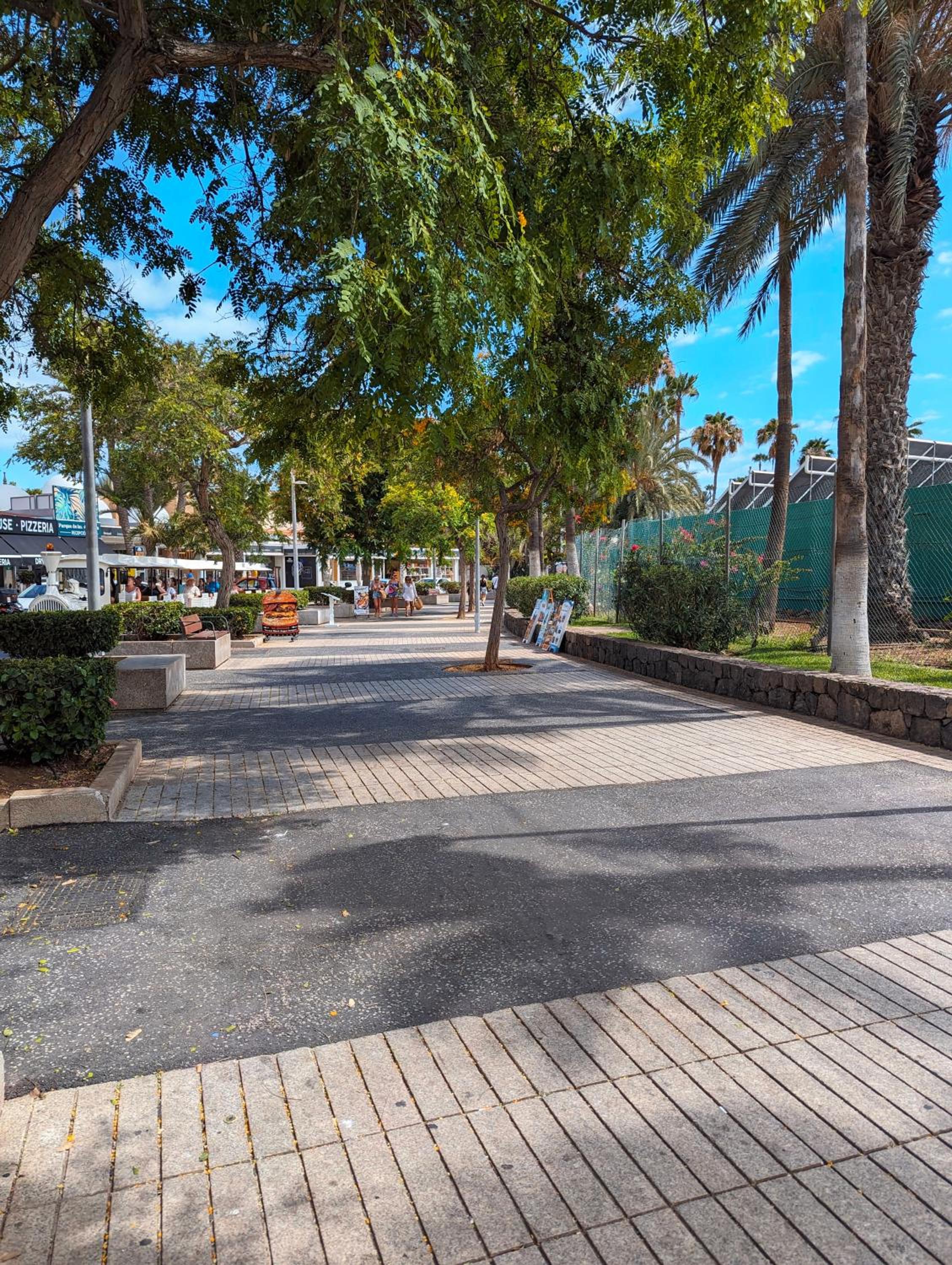 Apartament in Las Americas with ocean view