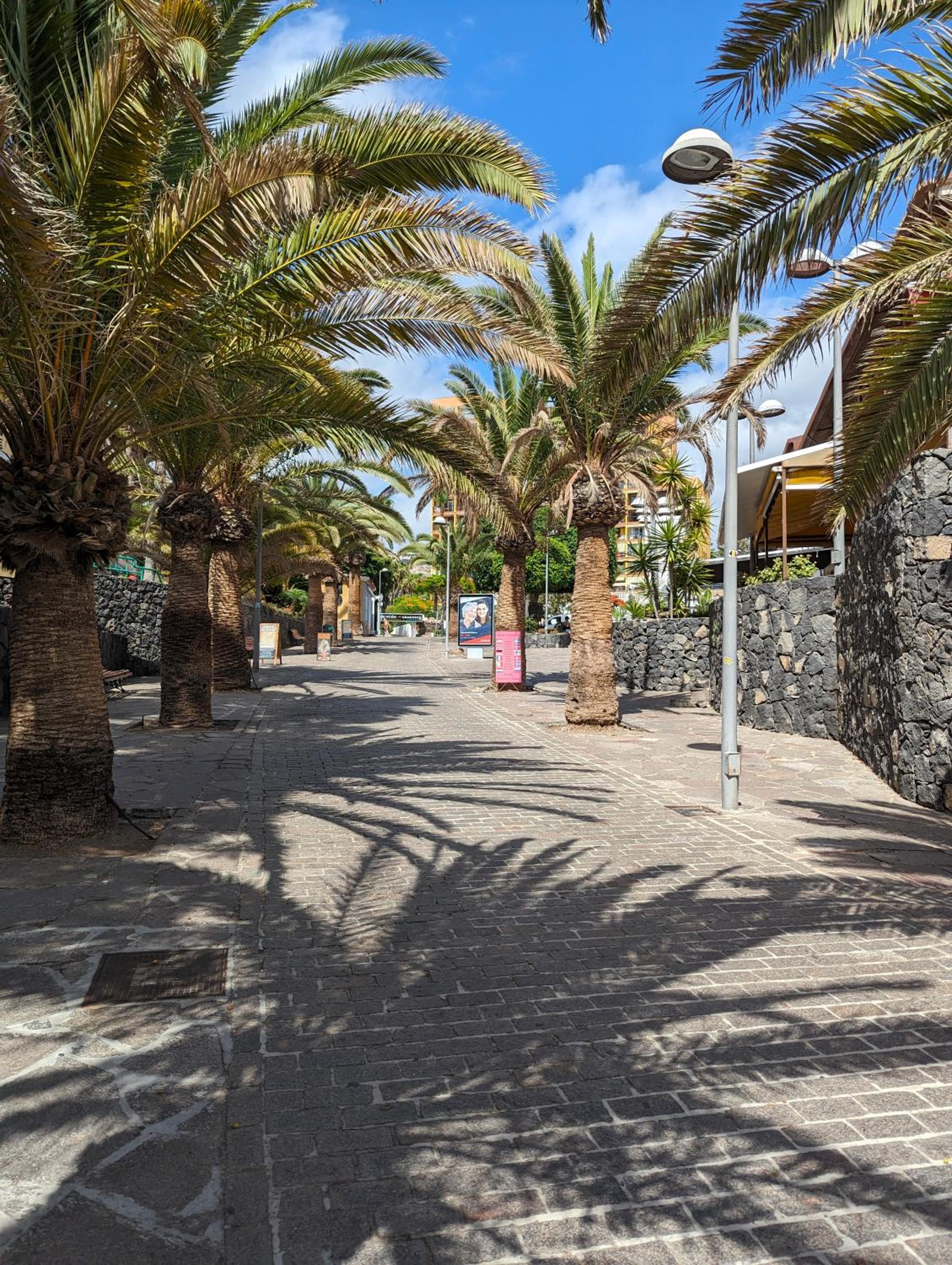 Apartament in Las Americas with ocean view
