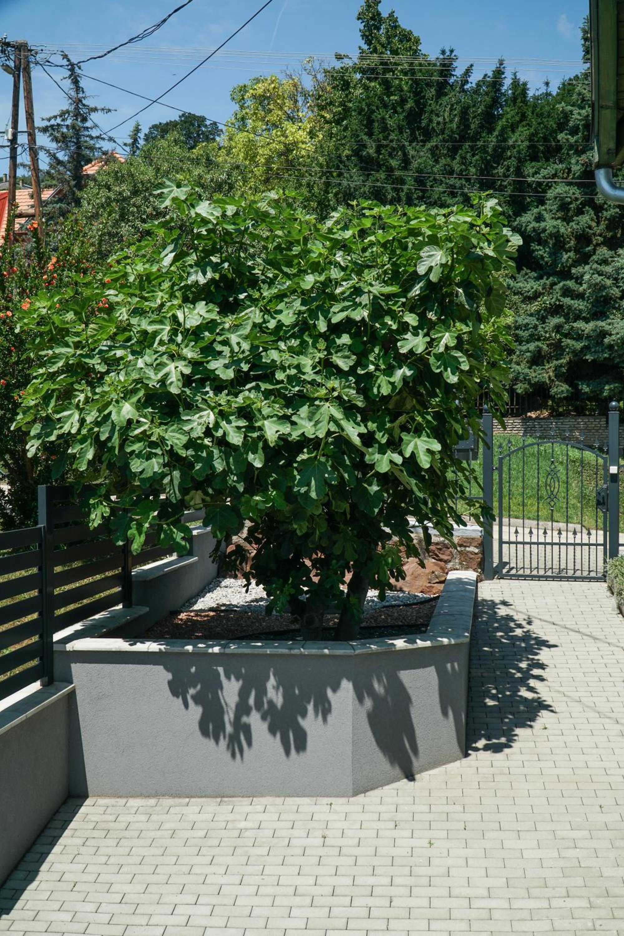 Fügefa Apartman, photo 27