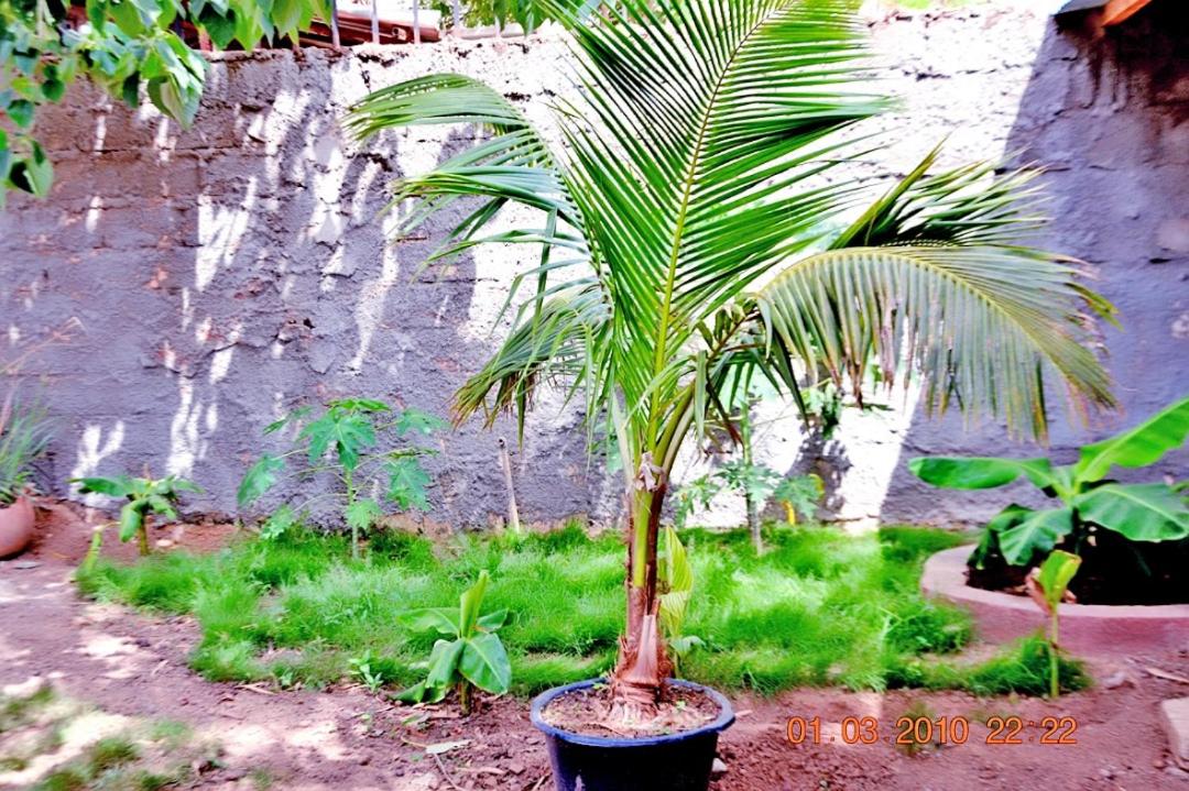CafeStro KOLWEZI Bedroom OUAGADOUGOU