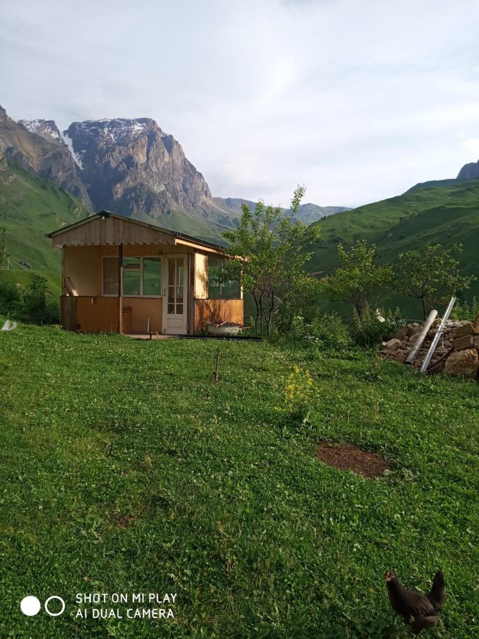 Laza guest house no1