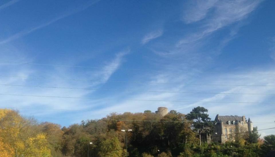 Les Renaudines, photo 5