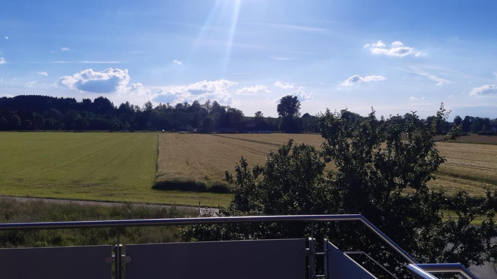 In den Wiesen
