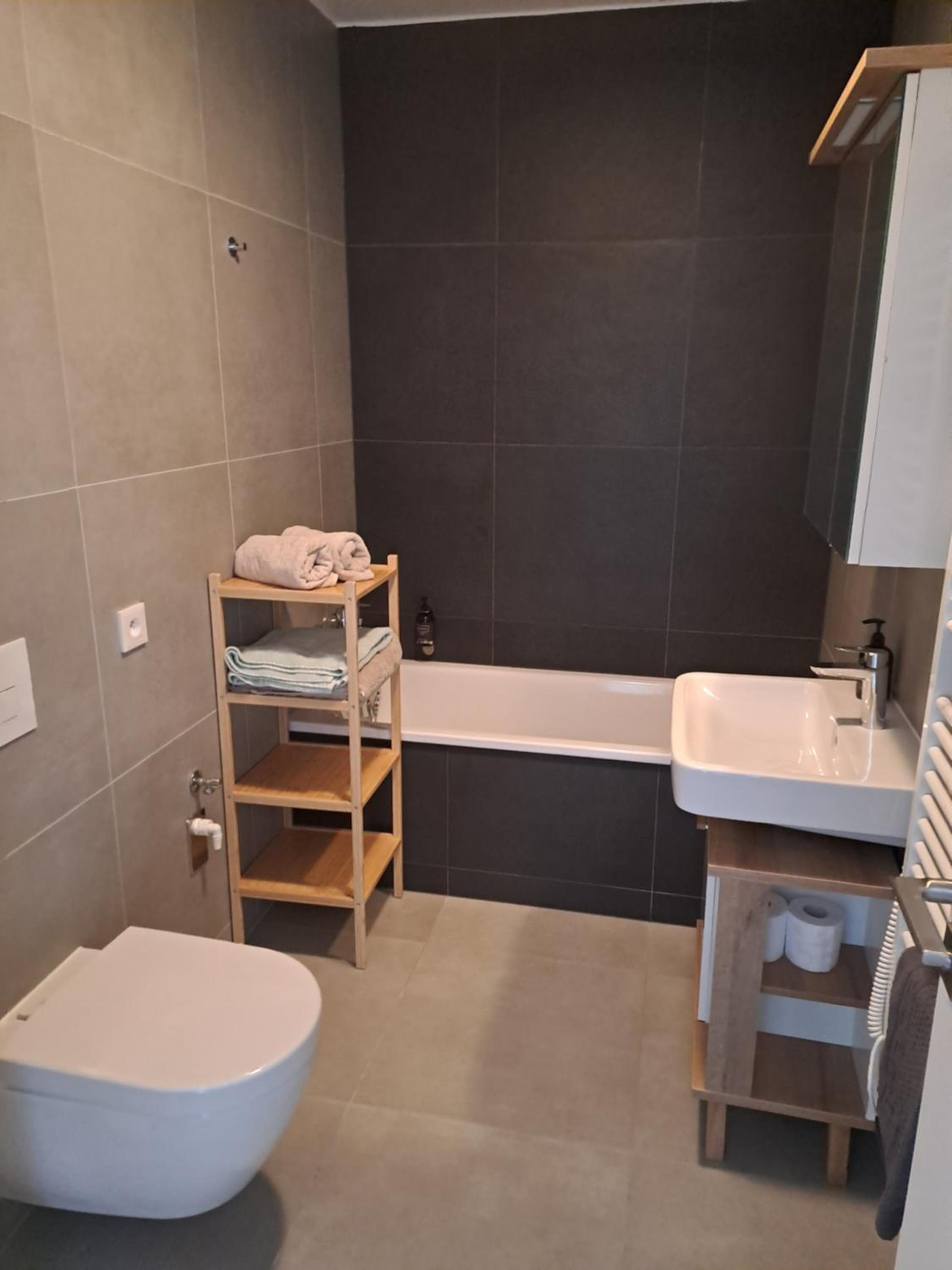 Apartmány Javorná