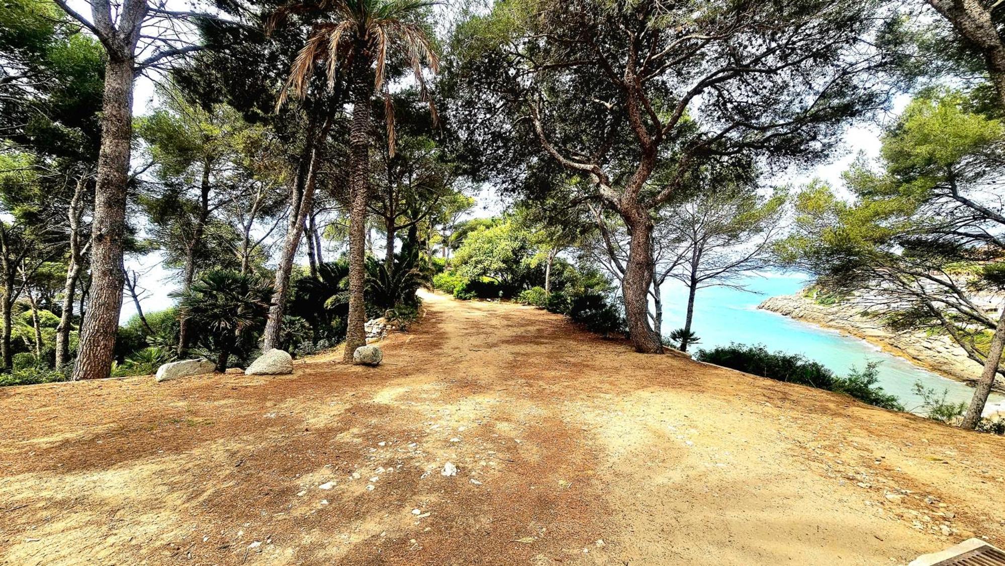 Photo 20