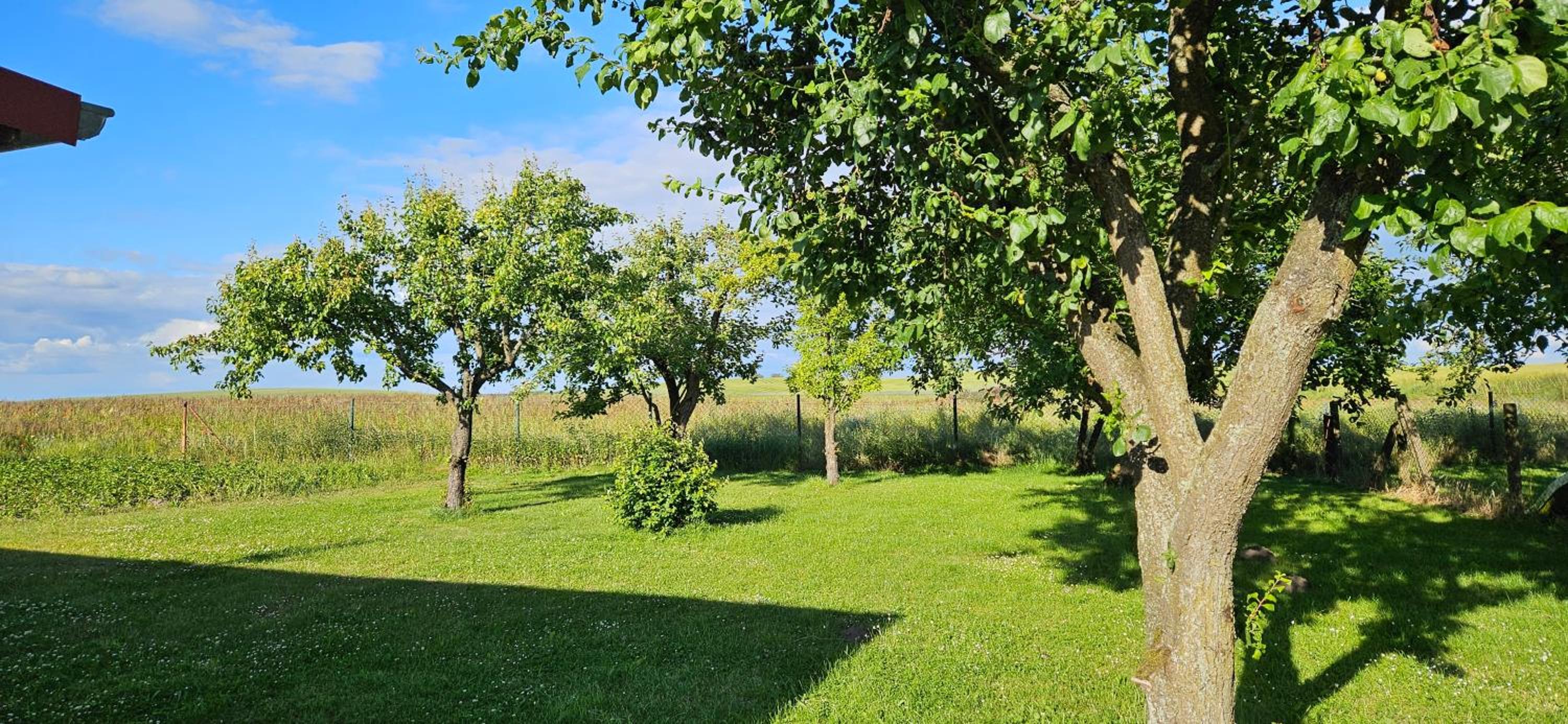 Landleben! Bungalow Feldblick 5 Personen