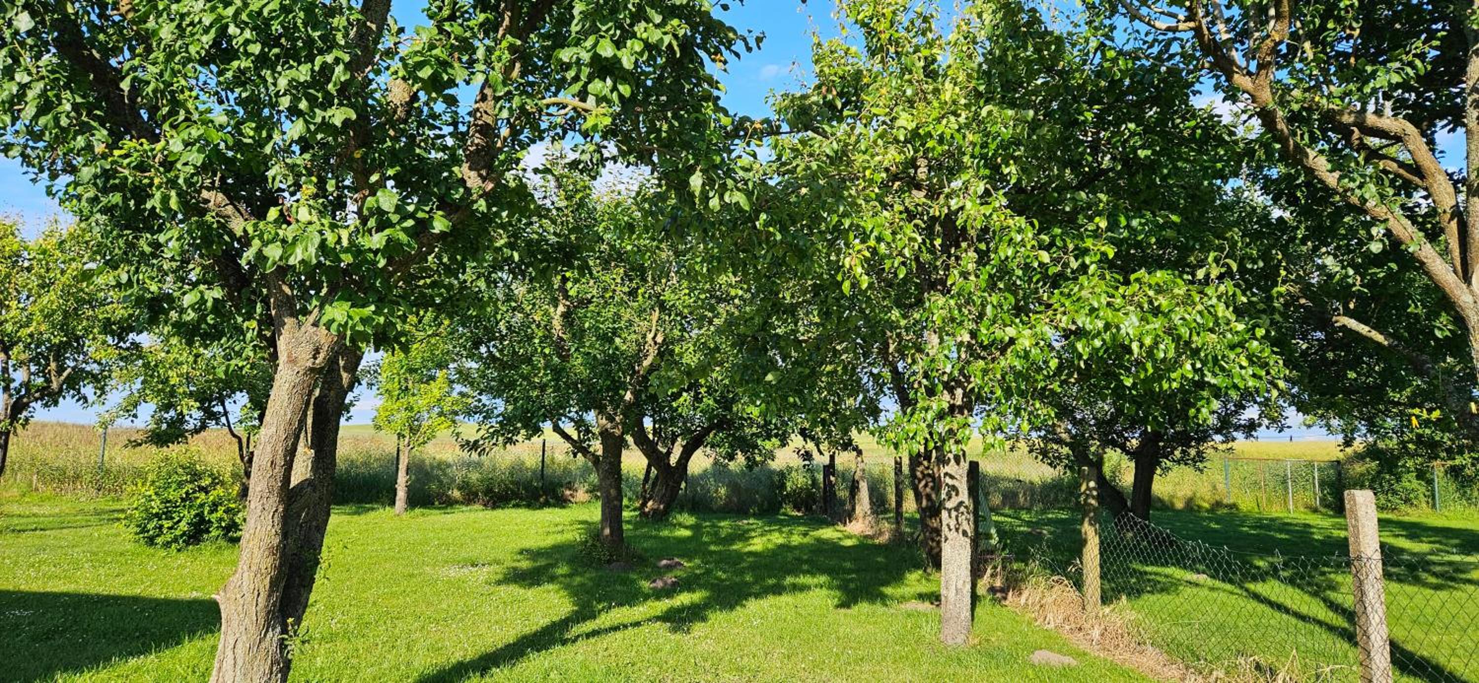 Landleben! Bungalow Feldblick 5 Personen