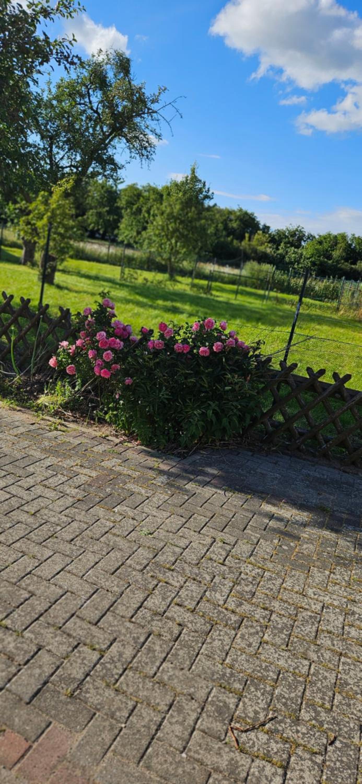 Landleben! Bungalow Feldblick 5 Personen
