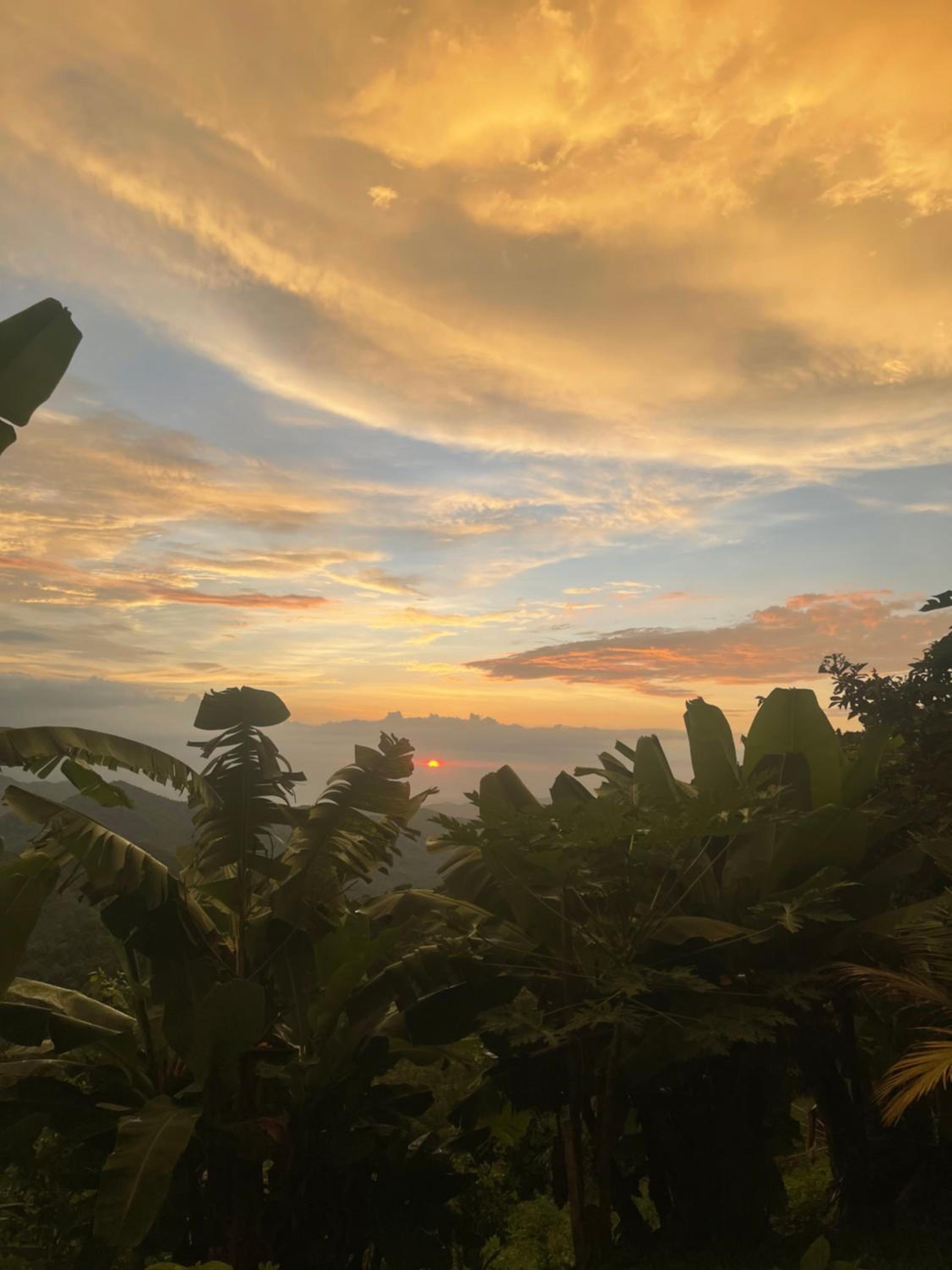 Sunset Serenata