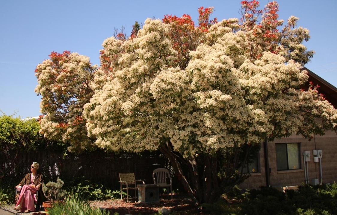 Photo 40