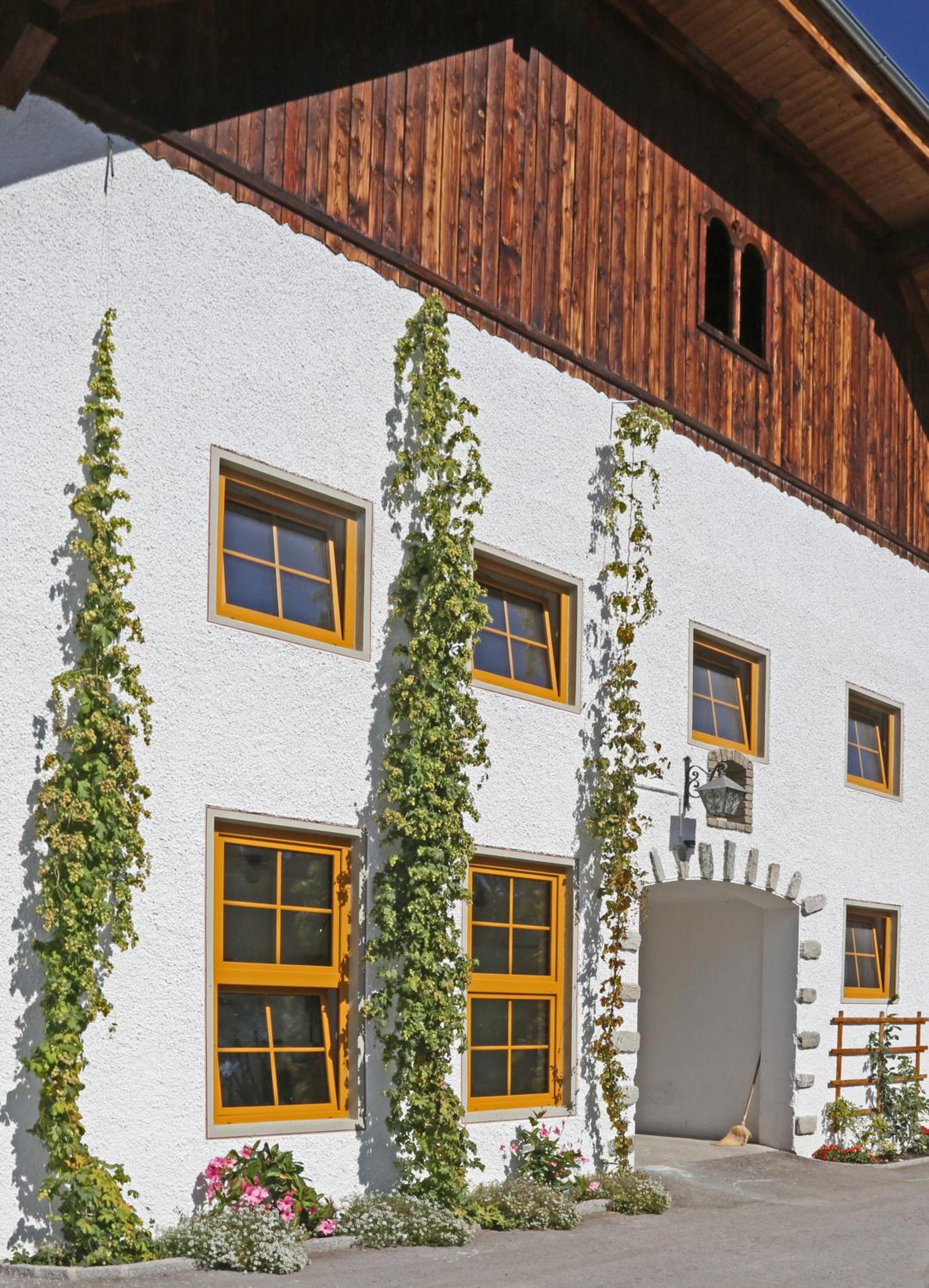 Ulnhof