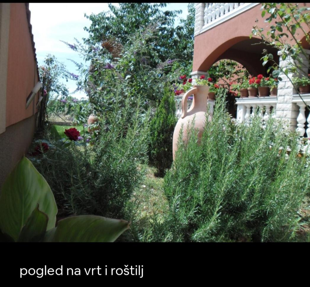 Apartman Marko