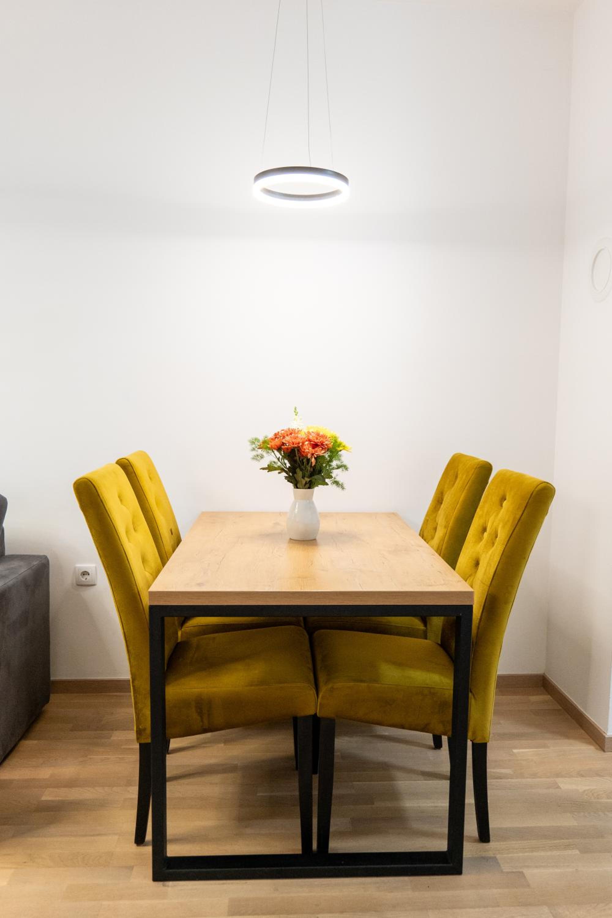 Drobac apartment