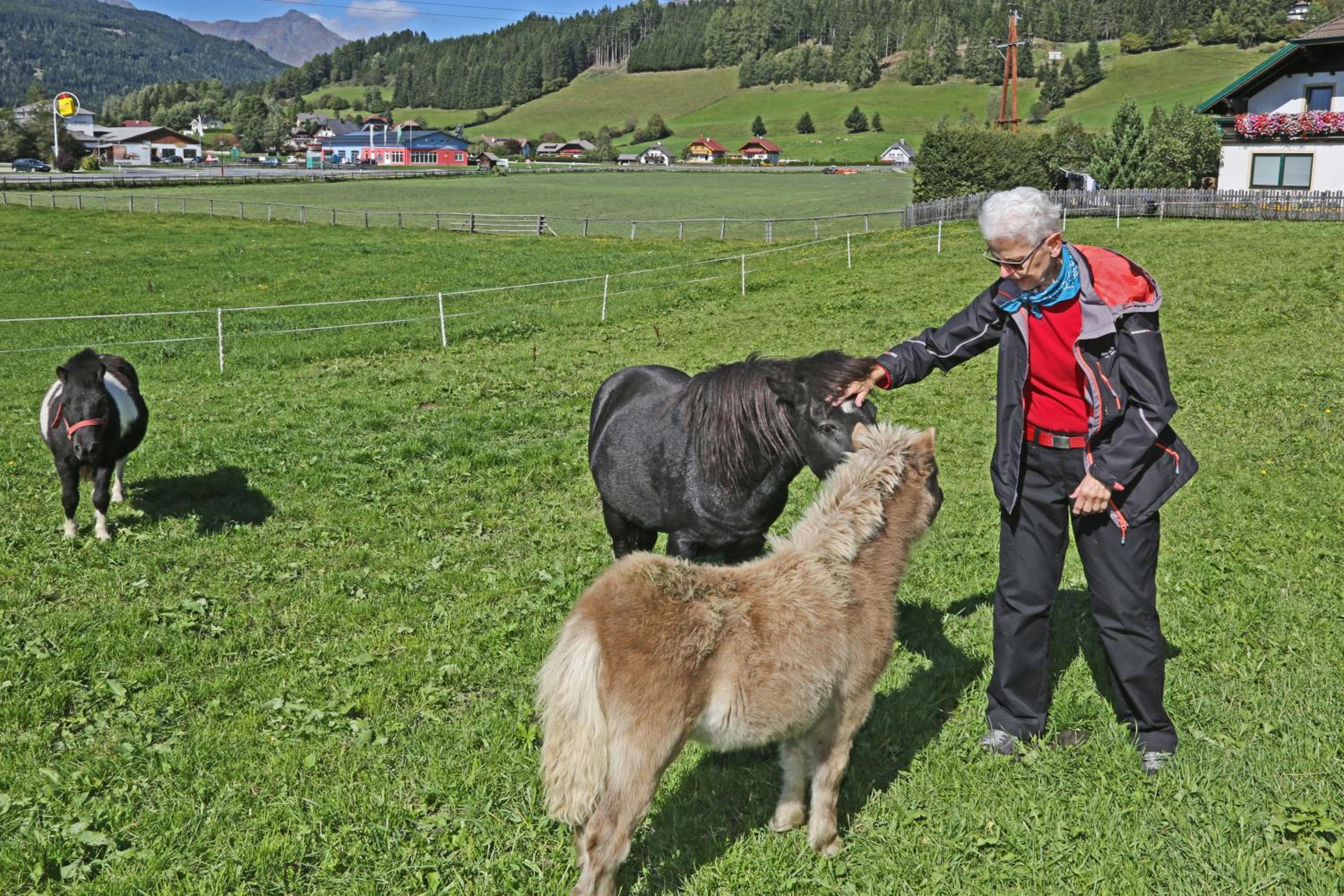Ulnhof