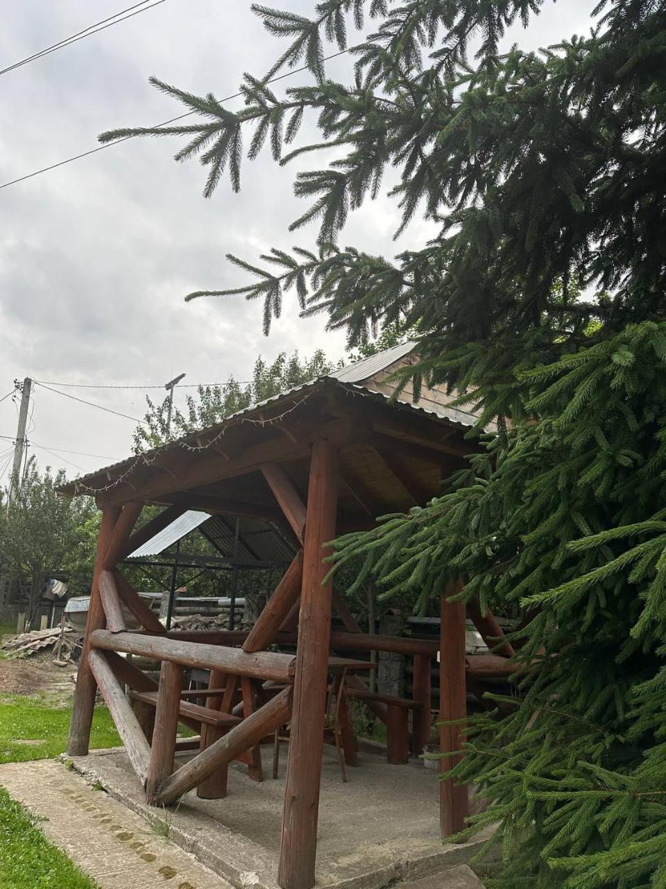 Затишна Домівка, fotografía 2