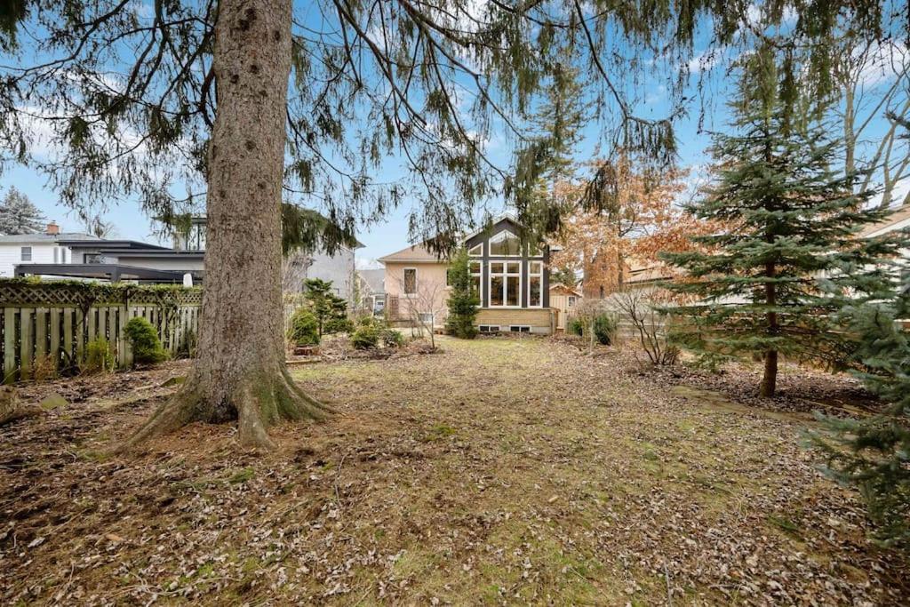 Picturesque & Serene Gem in Port Credit - Steps to Lake - Backyard