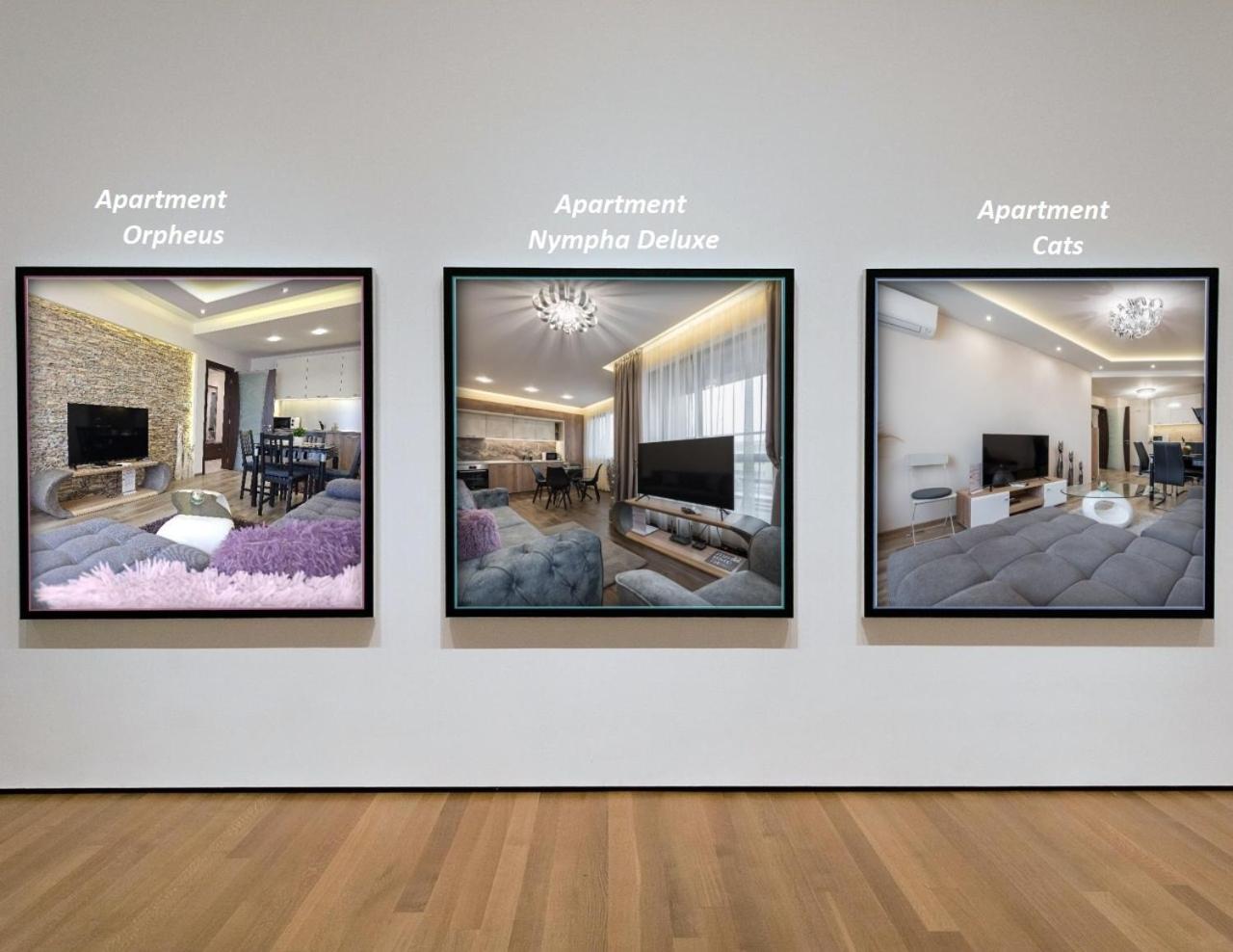 Hotel Apartments Cats - Image 1