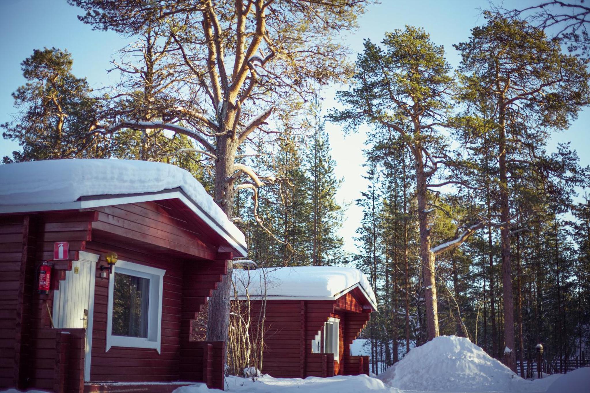 Photo 10