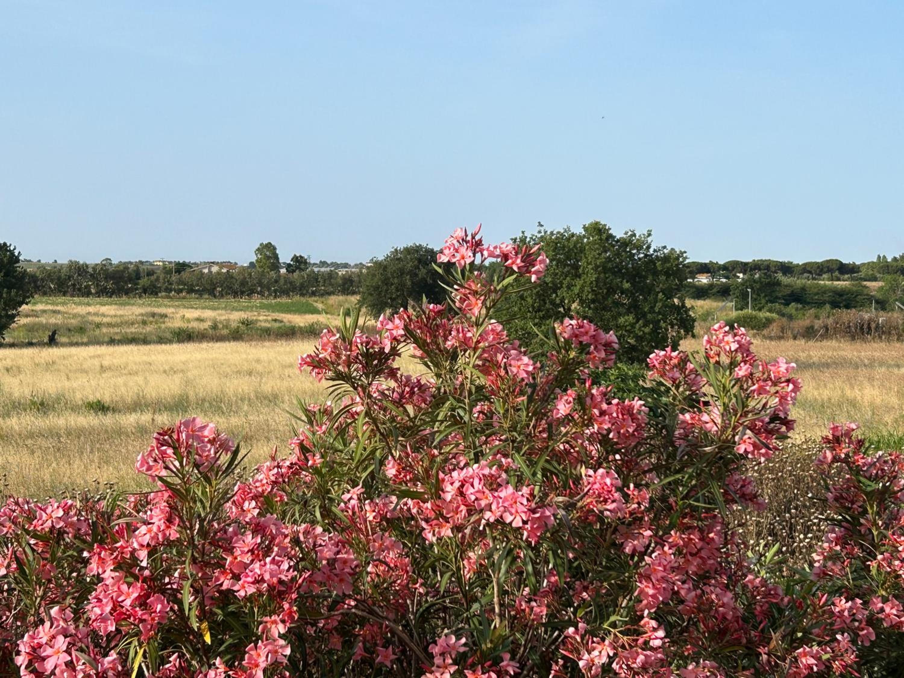 La Cascina