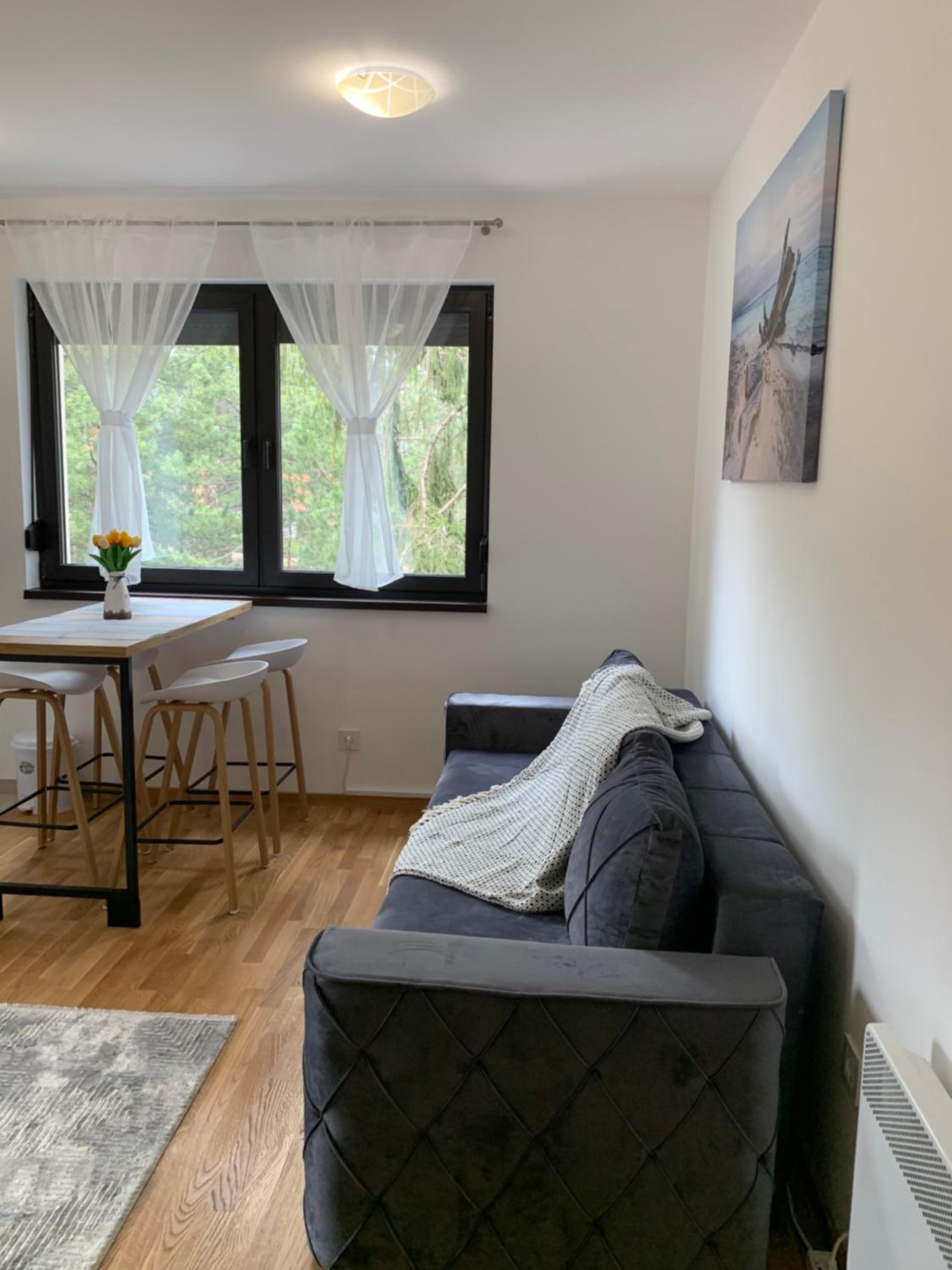 Apartman Milana