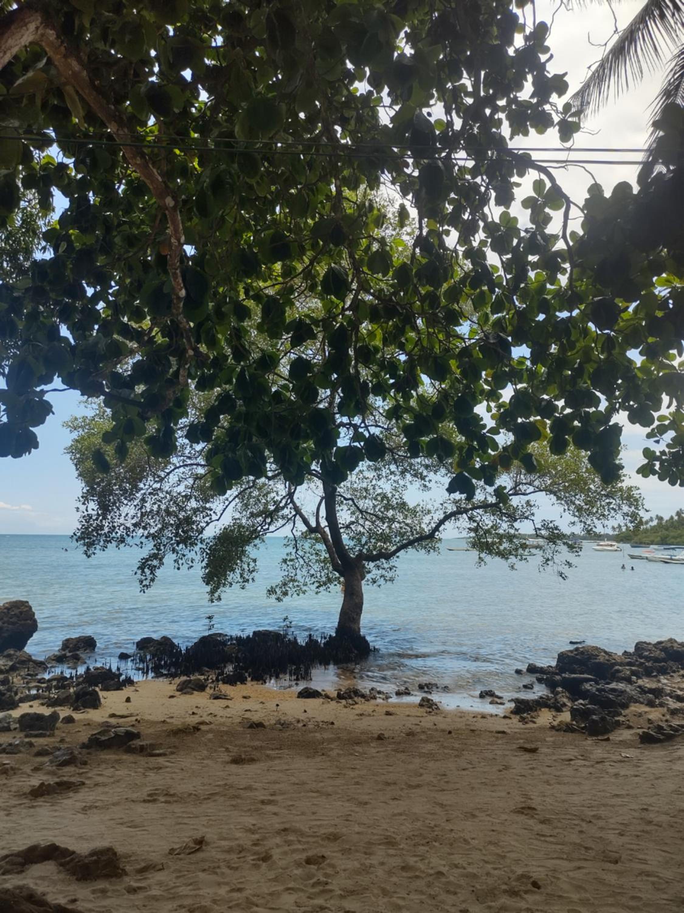Residencial Olinda de Boipeba