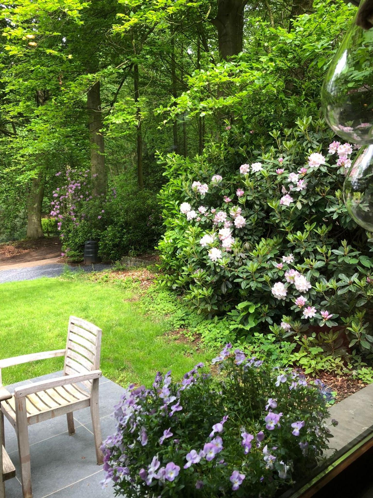 Kokoon in 't groen
